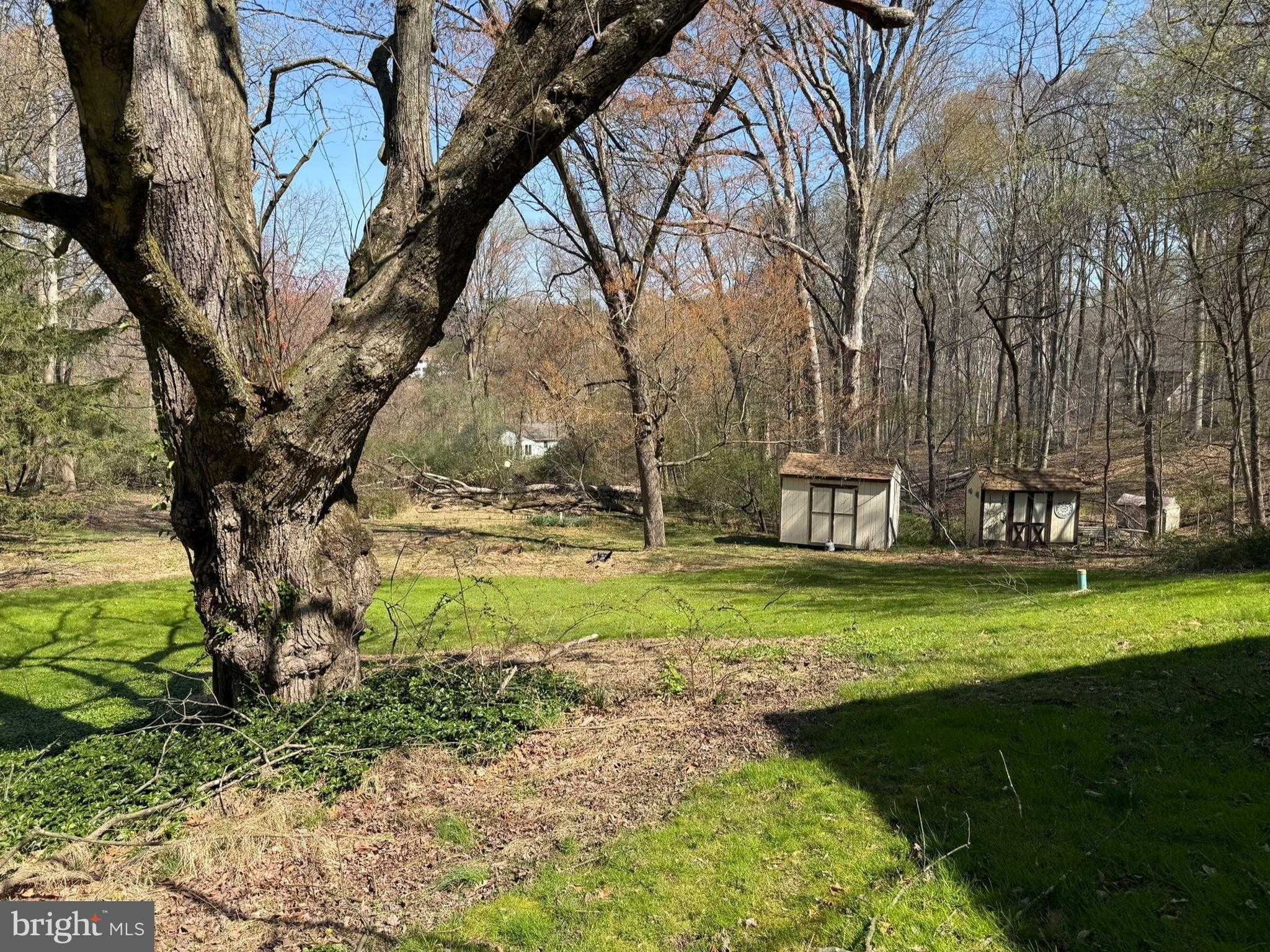 173 Mercer Mill Rd photo 35