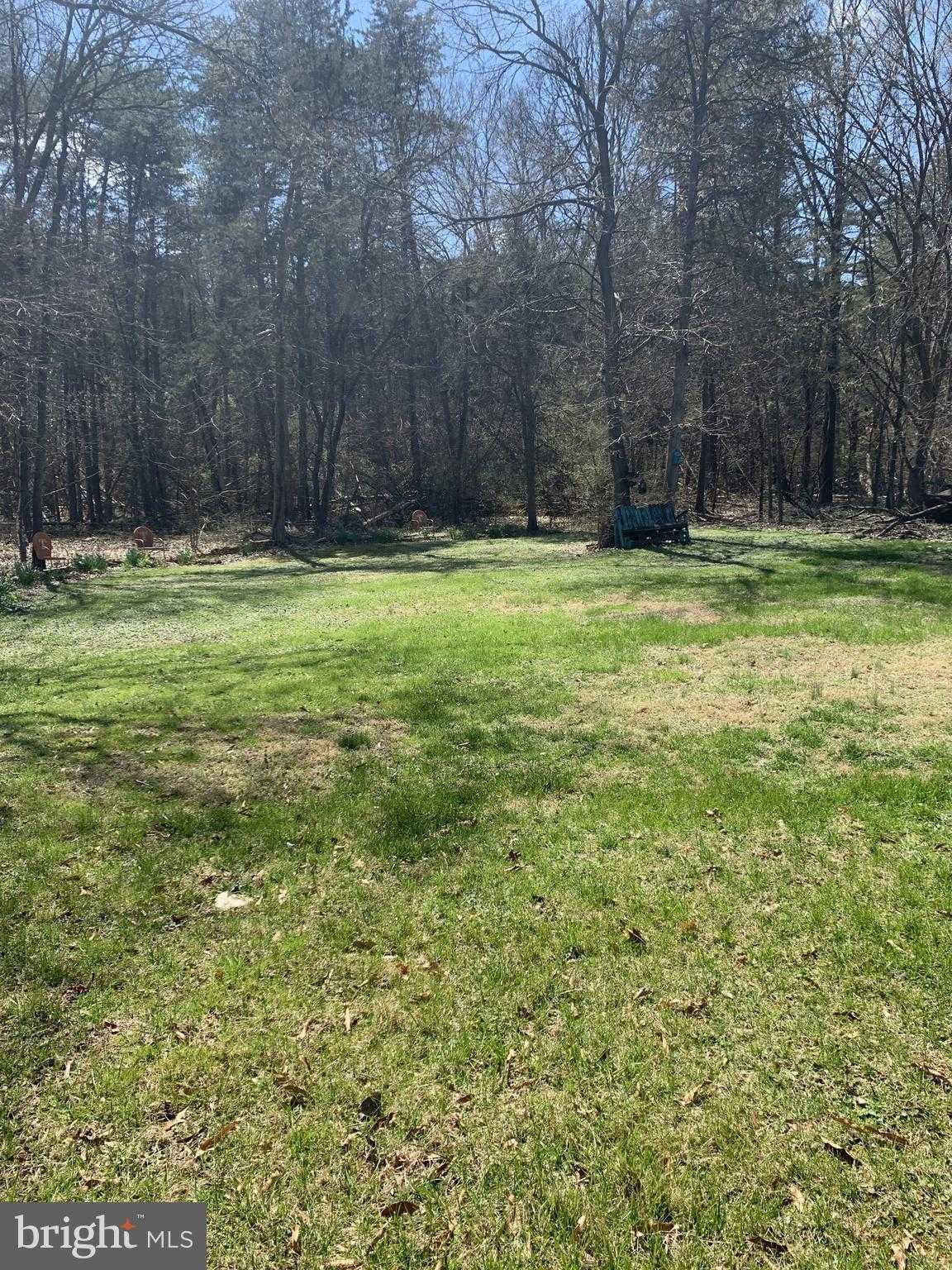 21538 MT Pony Rd photo 10