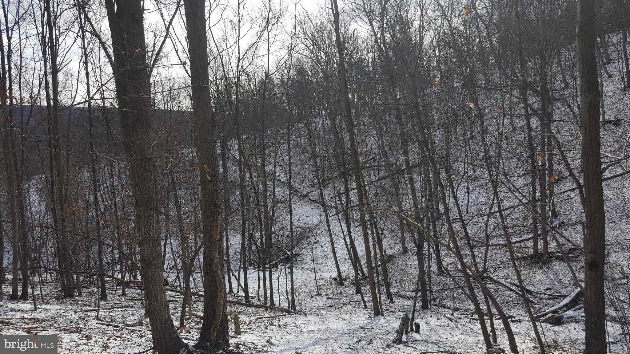 253 Fox Meadow Dr photo 12