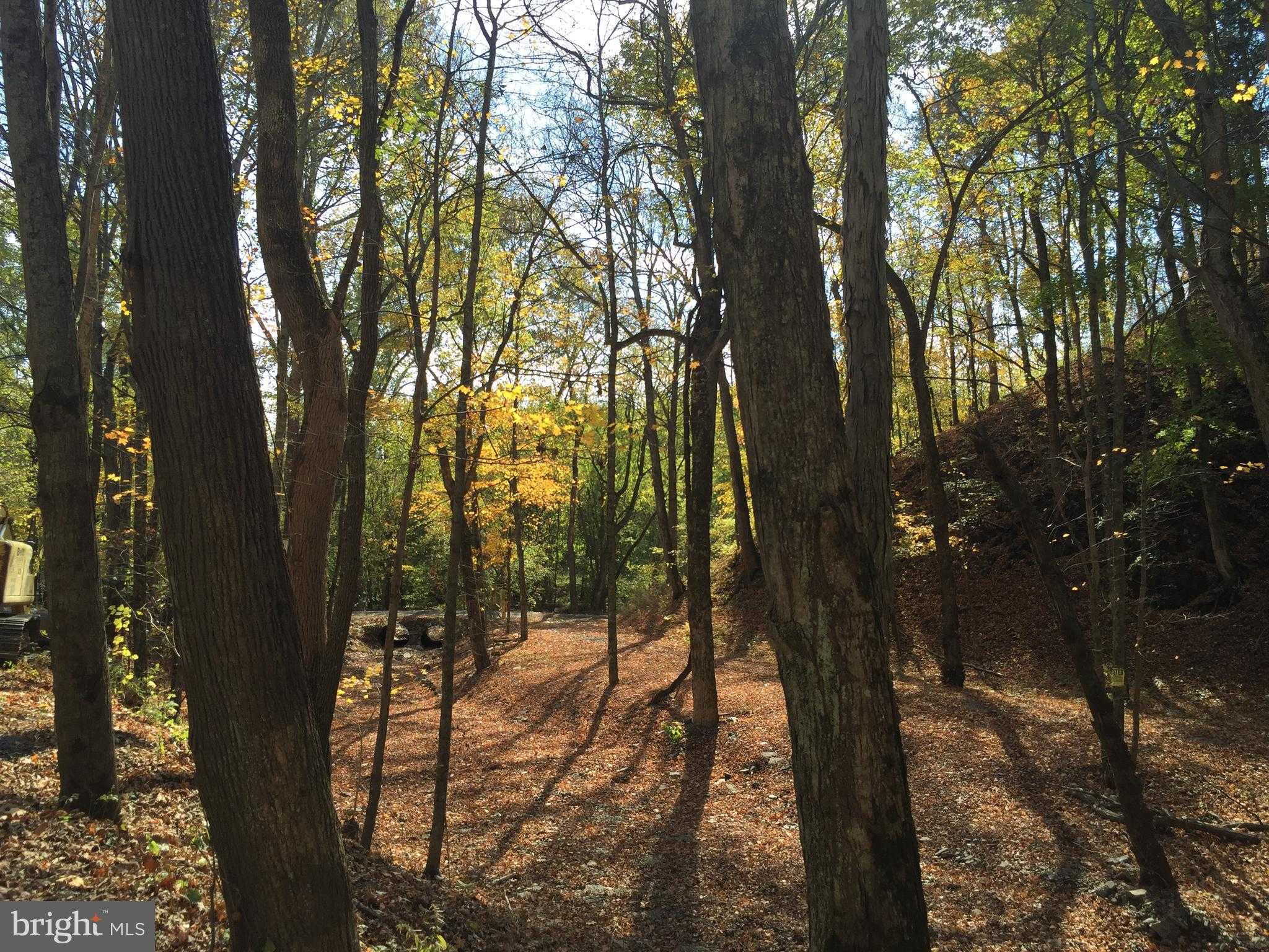 253 Fox Meadow Dr photo 14