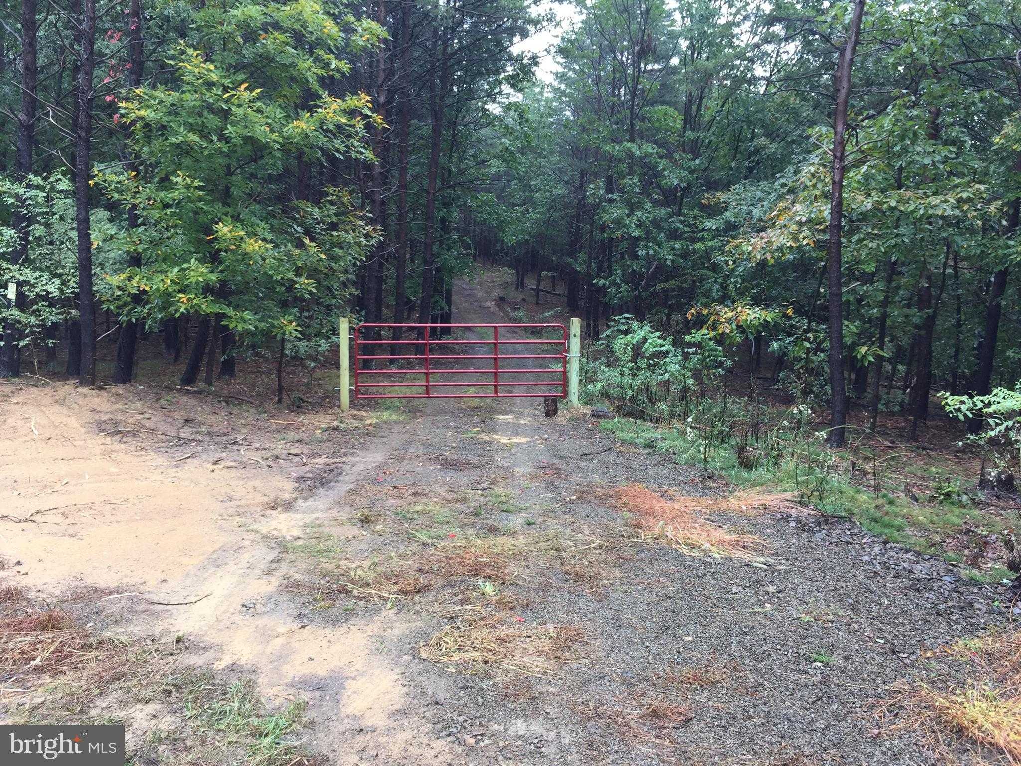 253 Fox Meadow Dr photo 15