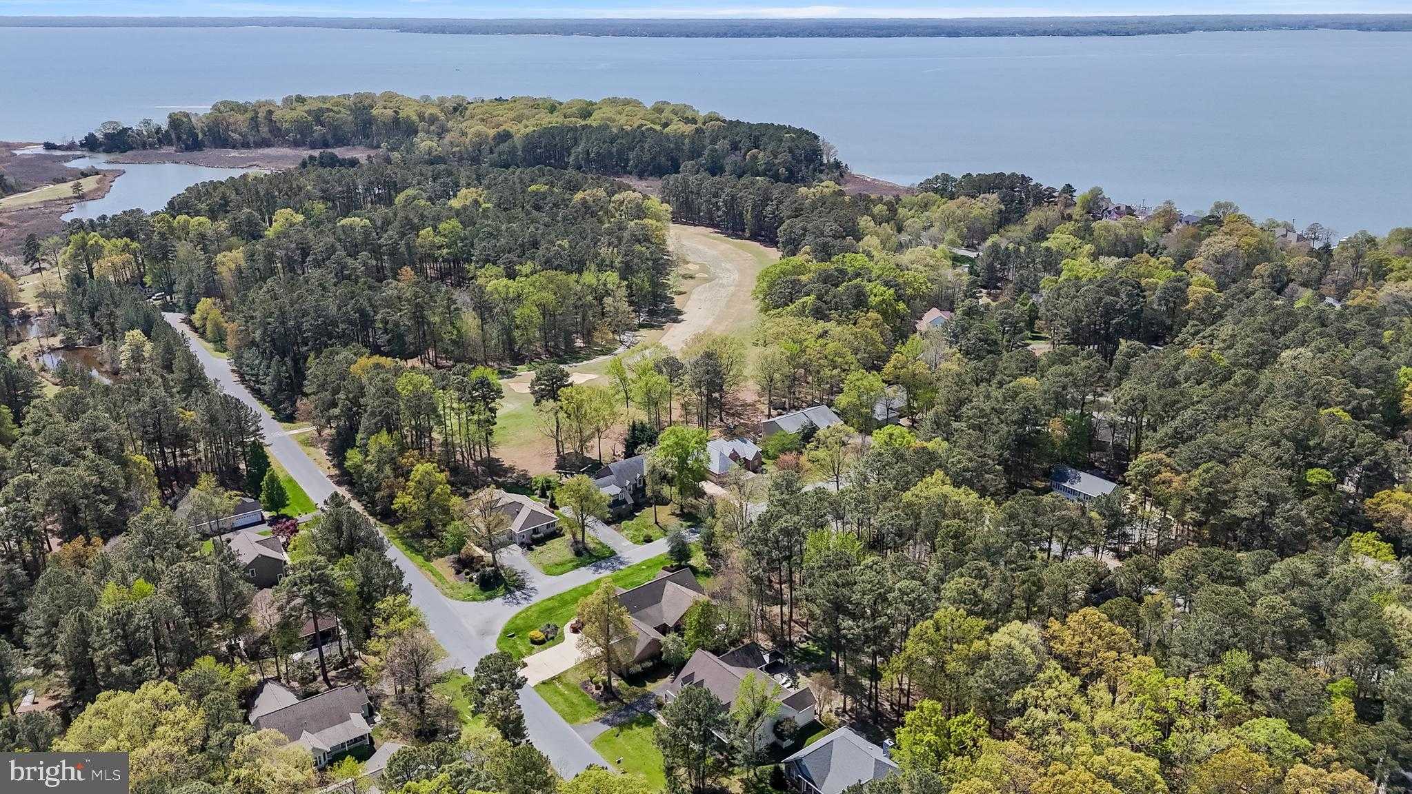 14855 King Charles Dr photo 71