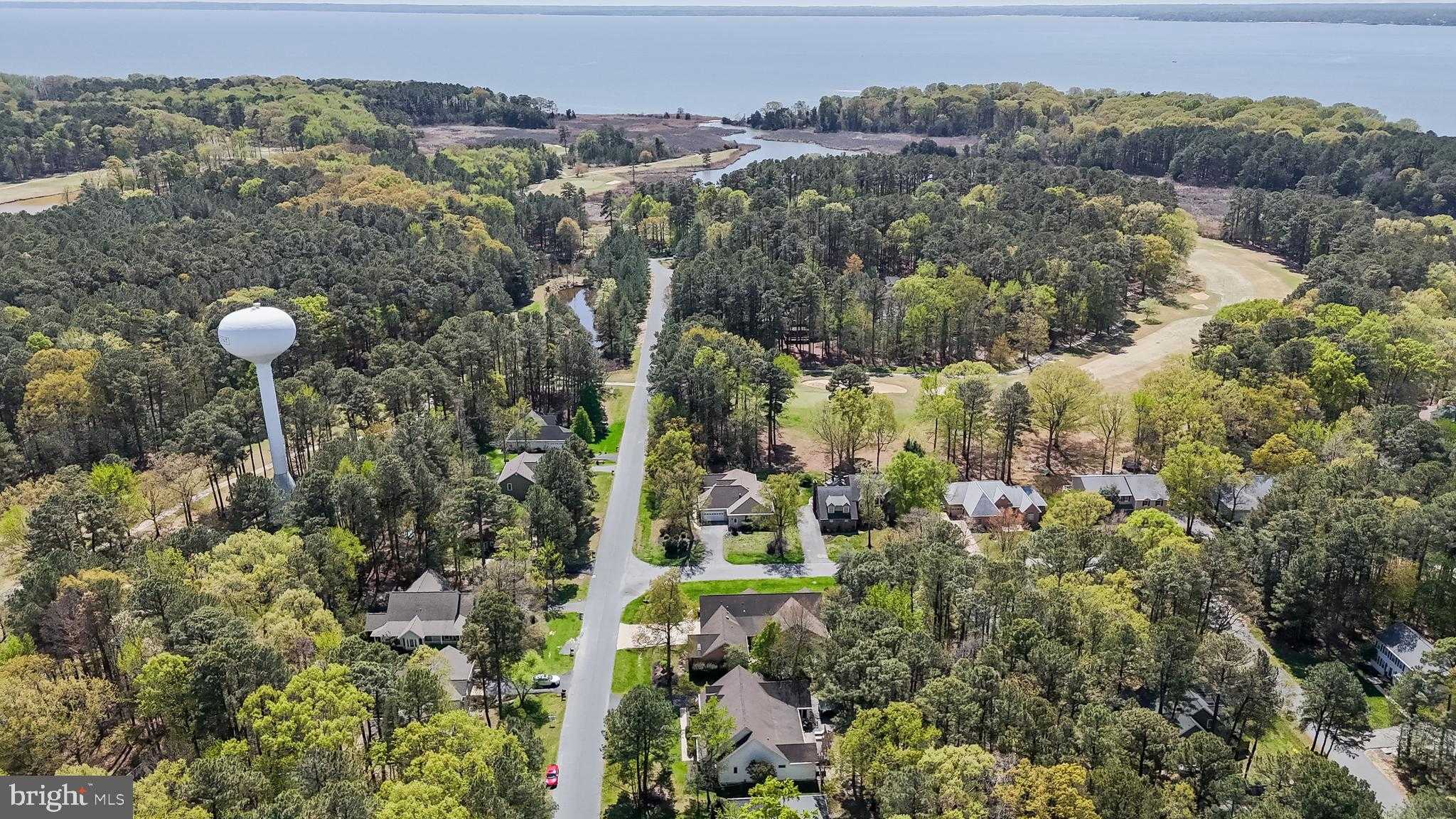 14855 King Charles Dr photo 72