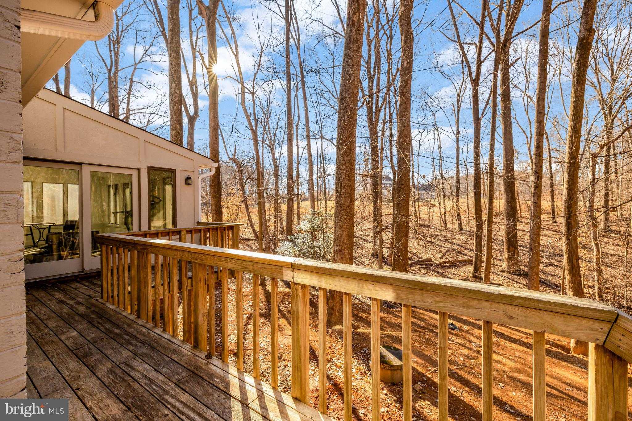 9982 Blackberry Ln photo 38