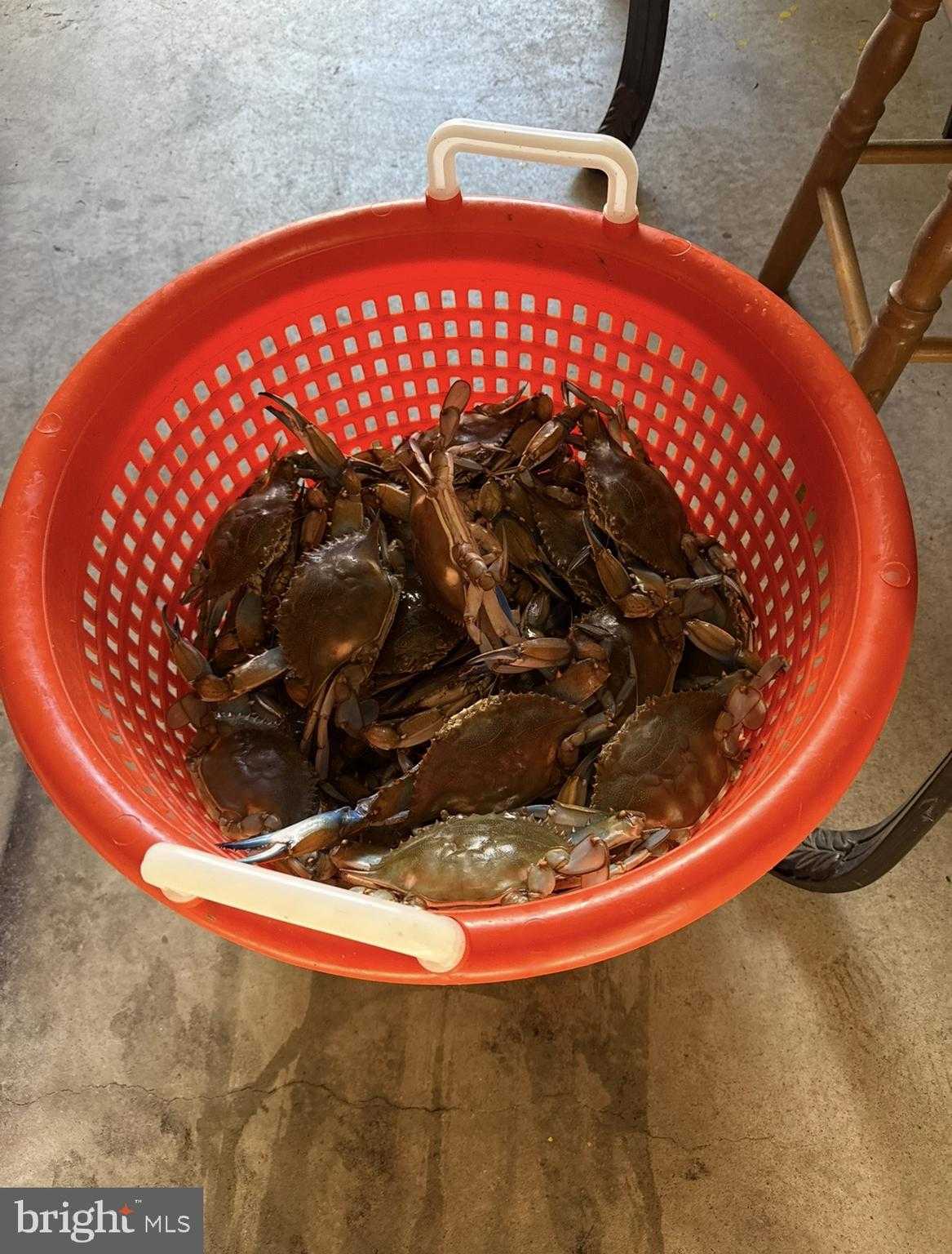 17 Mariners Way photo 27