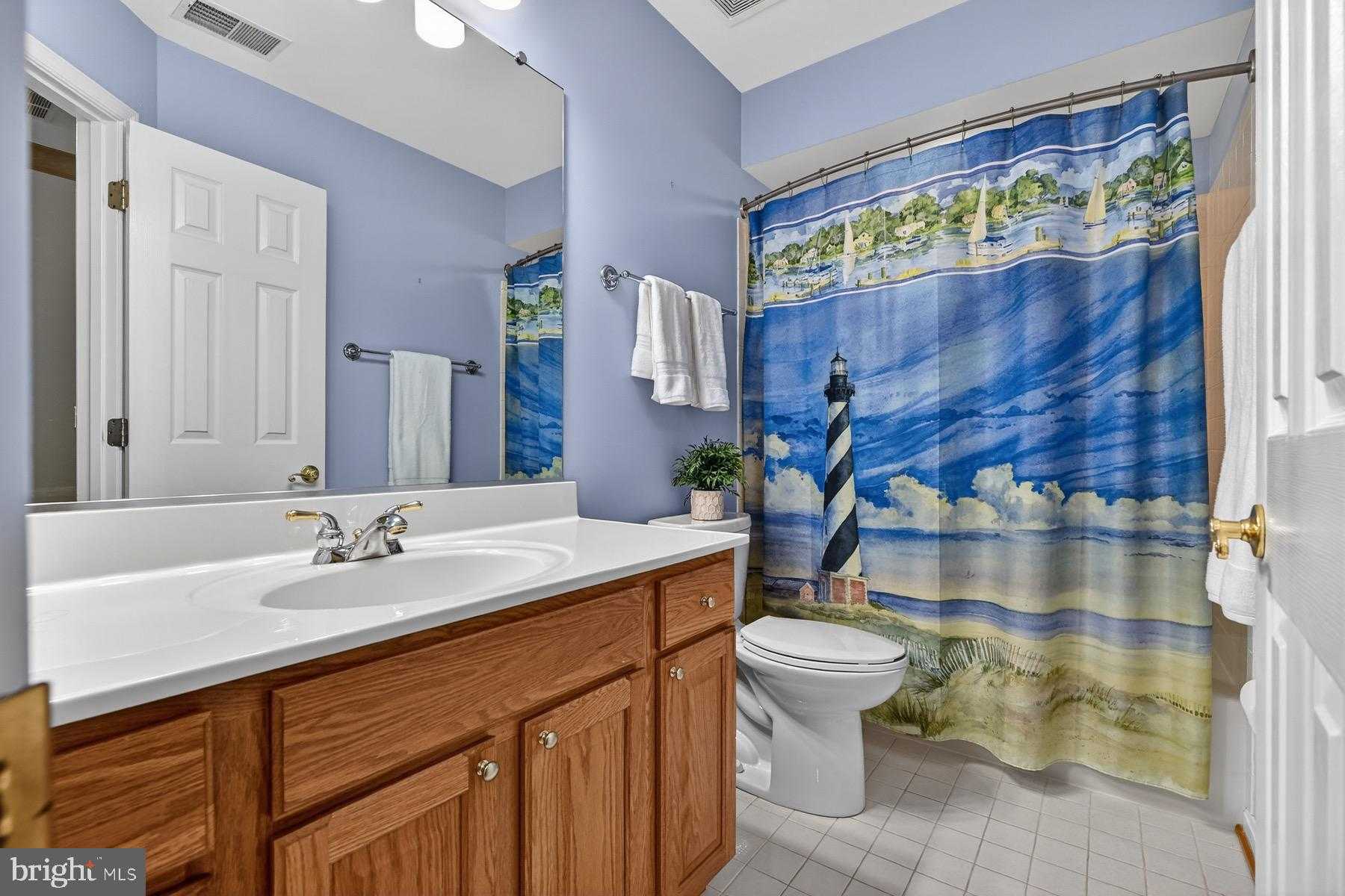 3509 Marthas Vineyard Way photo 73