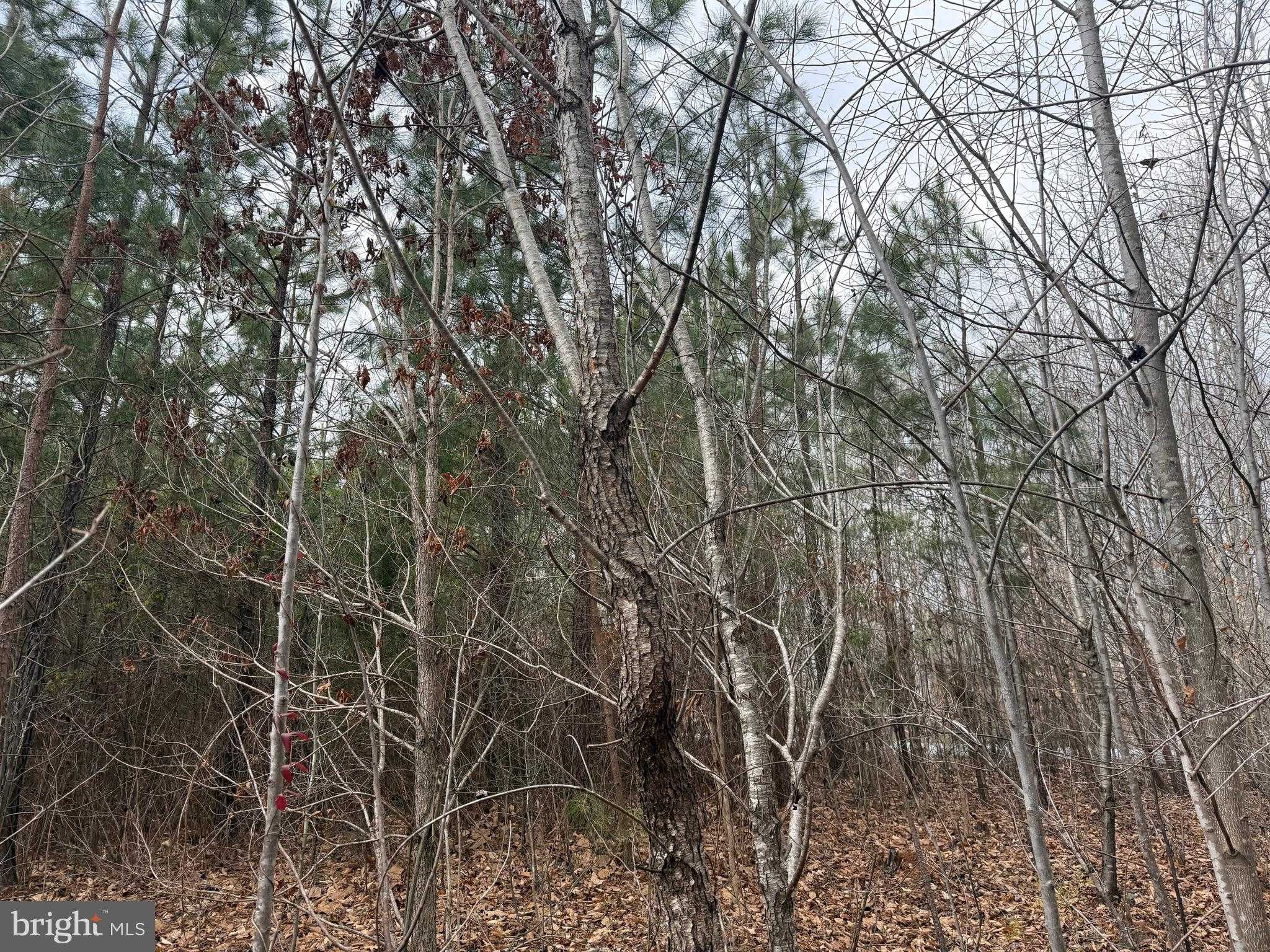 Hardware Rd photo 20