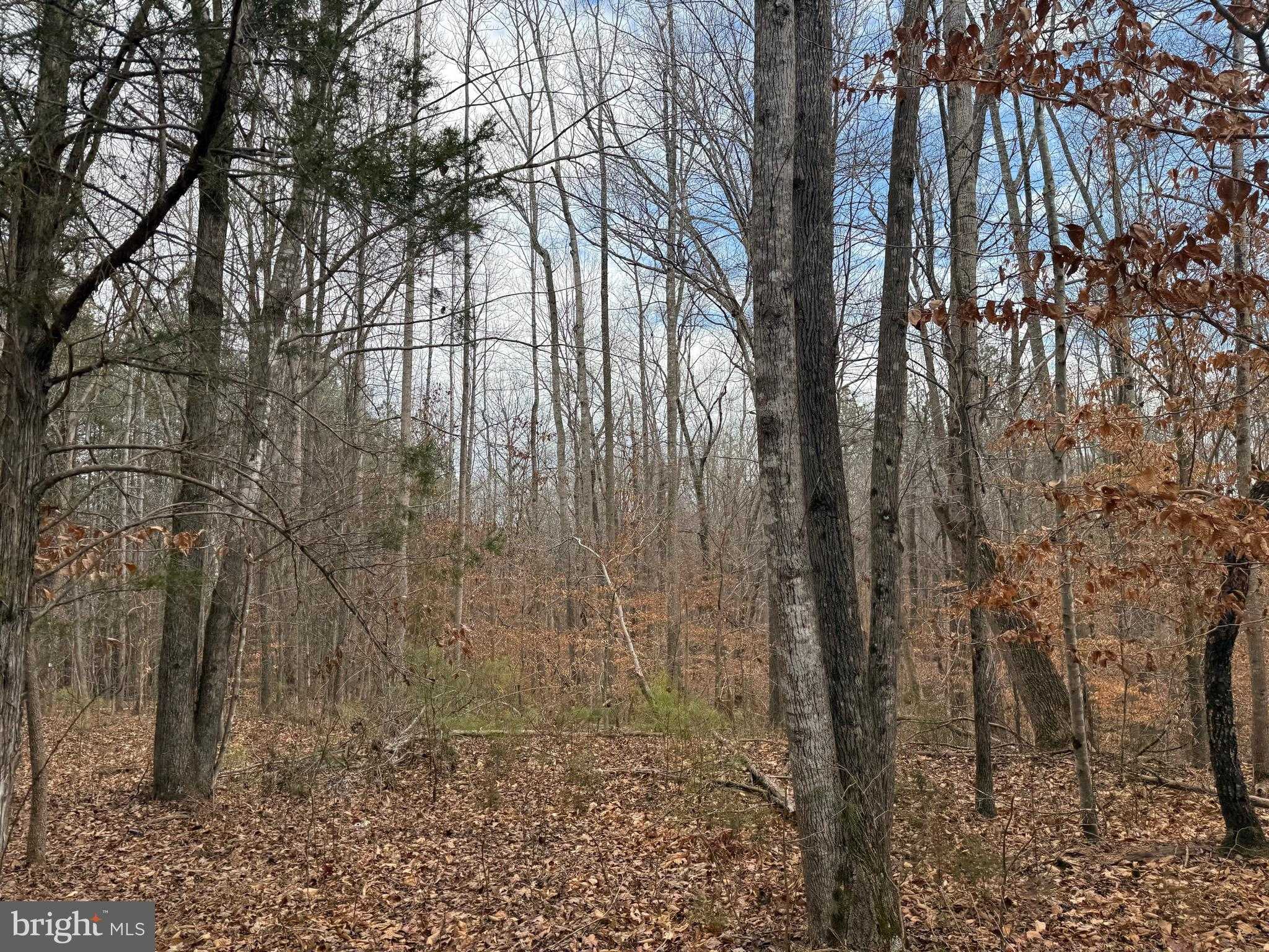 Hardware Rd photo 24