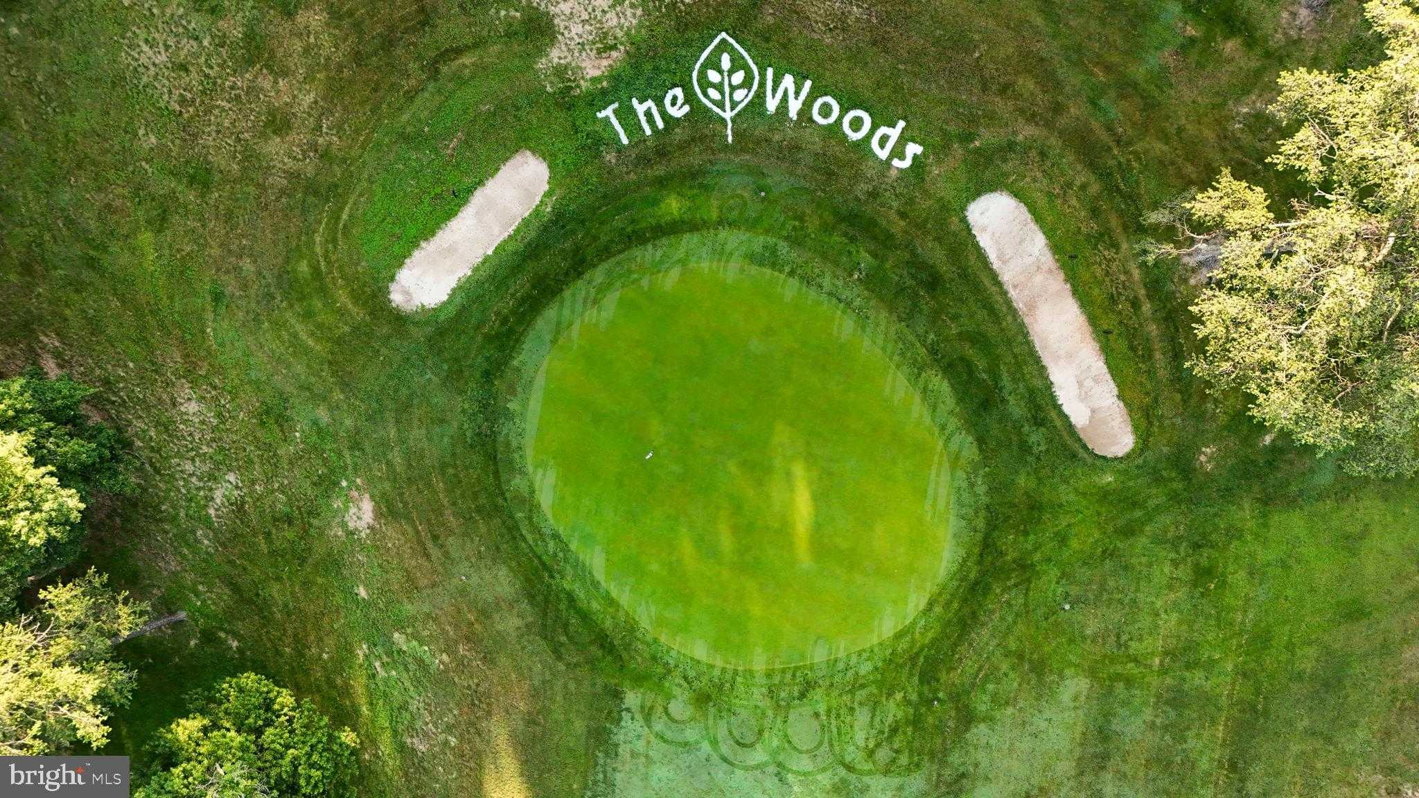 256 Tecumseh Trl photo 38