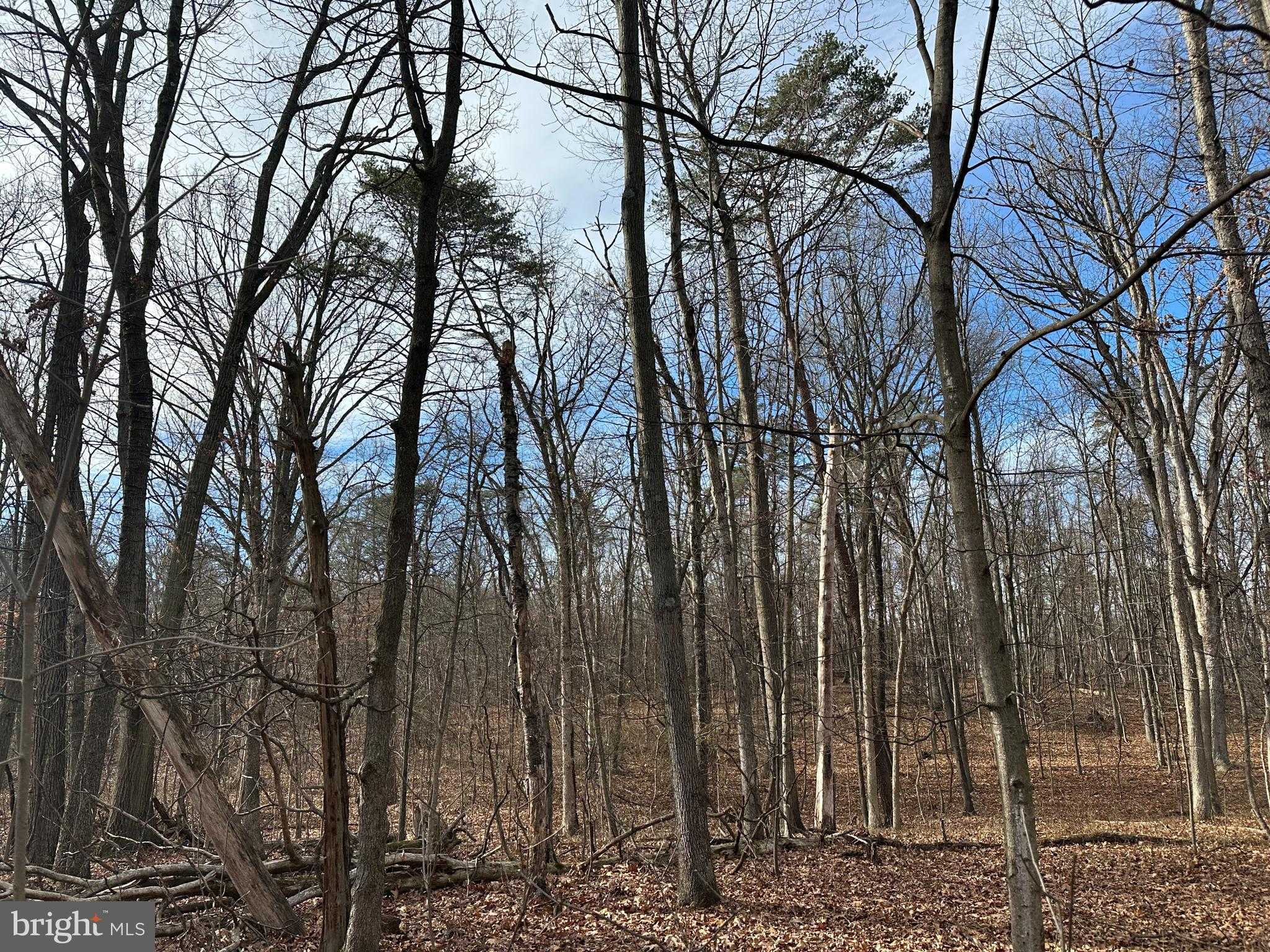 Berkeley Cir photo 5