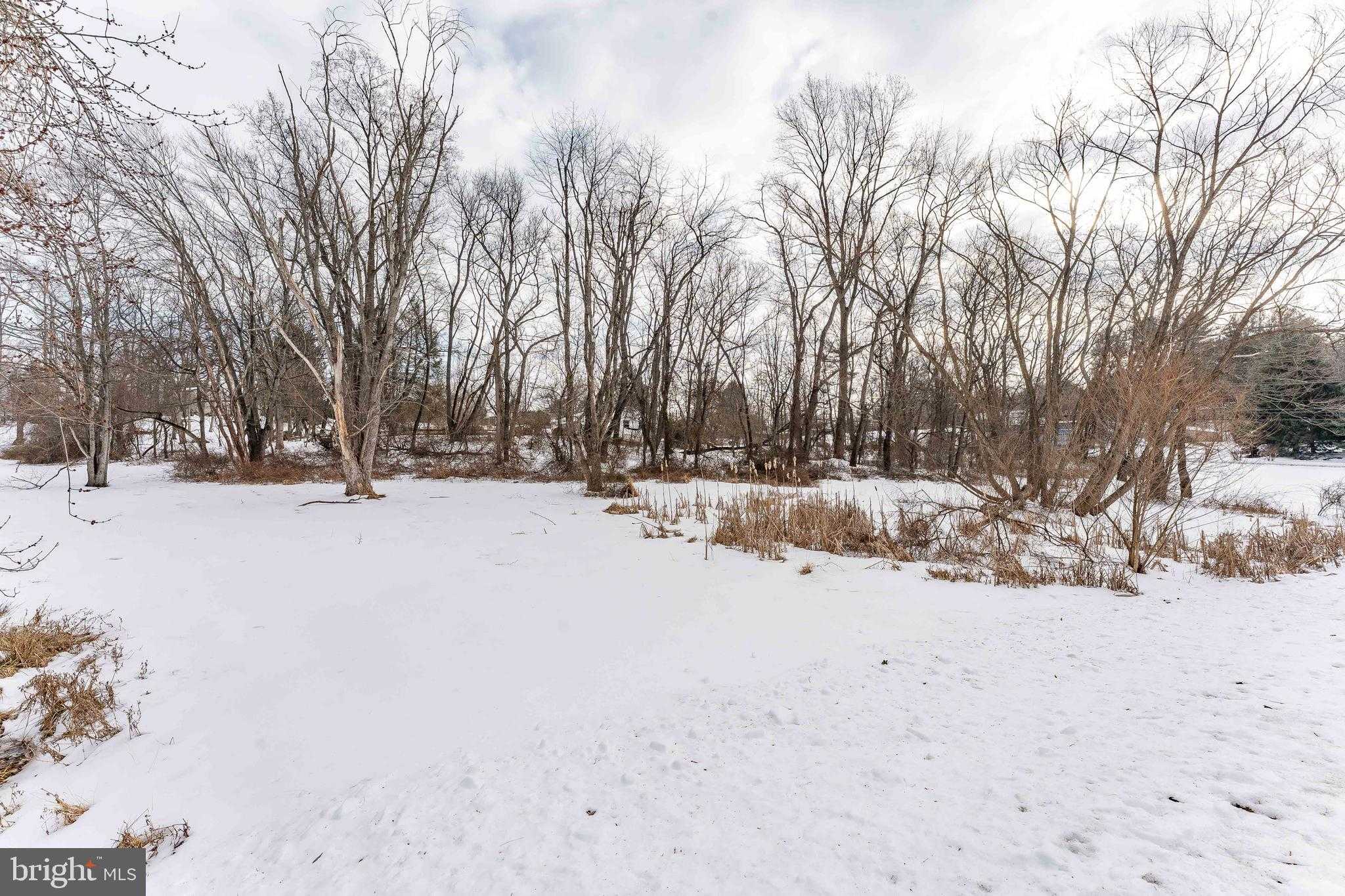 1438 Williamsburg Dr photo 5