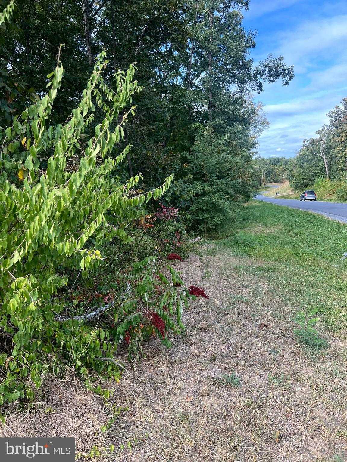 171 Covey Ln photo 2