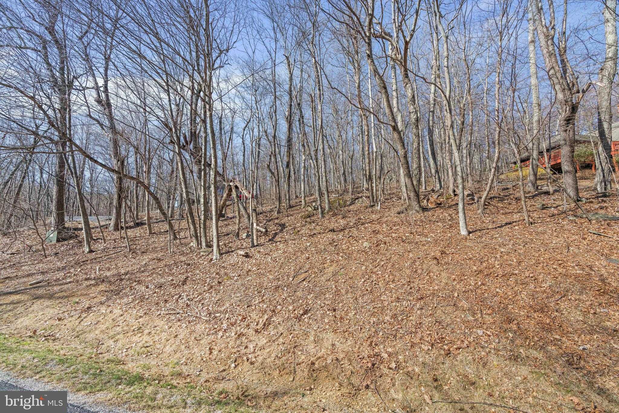 688 Shamokin Springs Trl photo 12