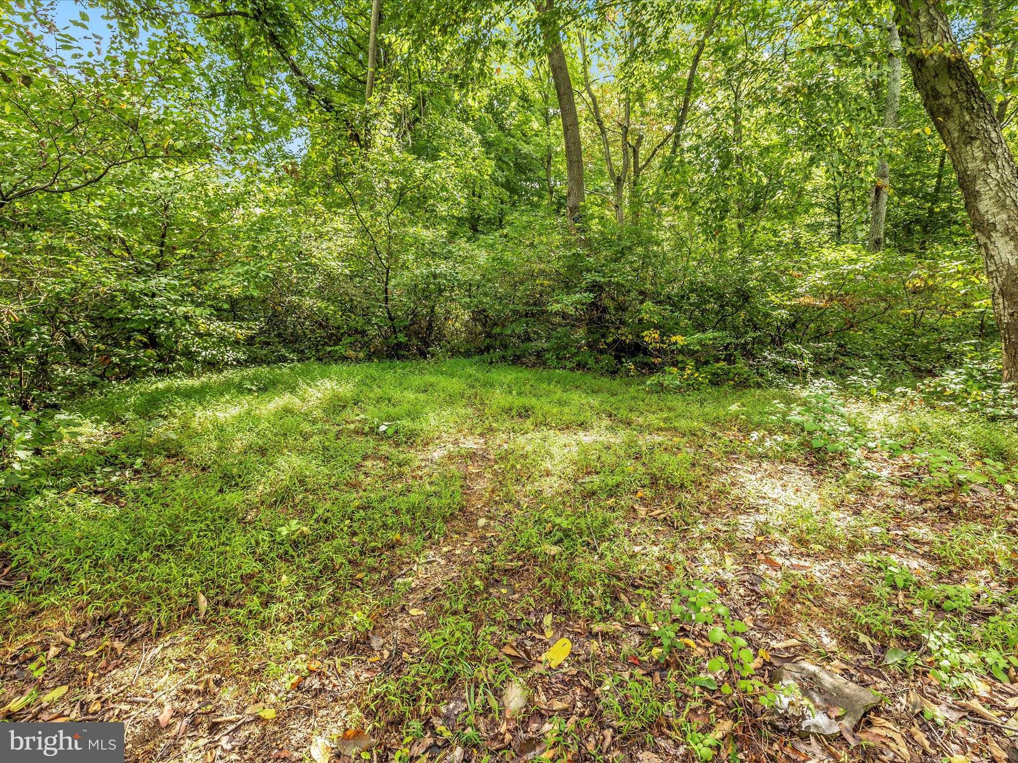 16015 Foxville Deerfield Rd photo 11