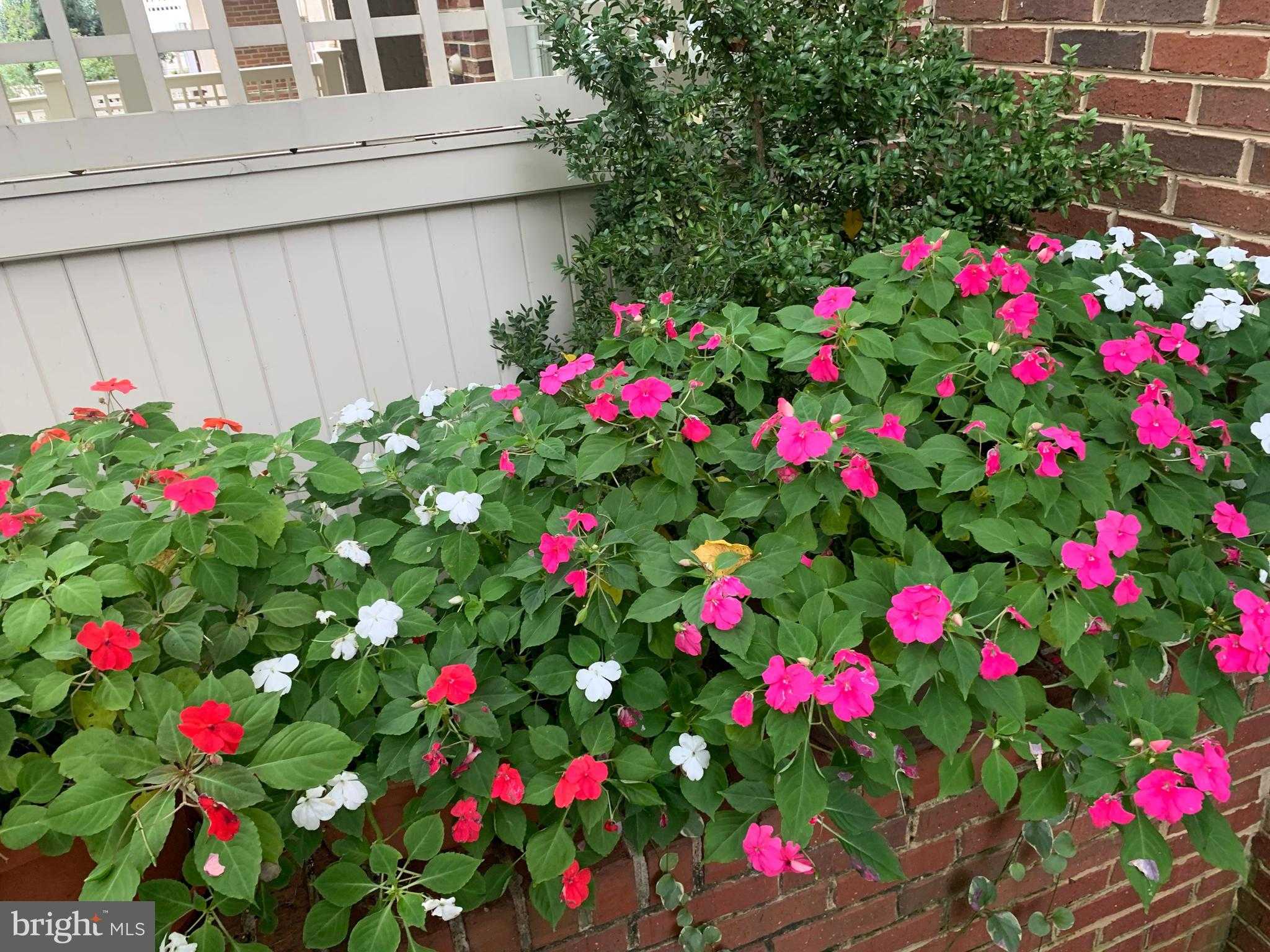 6739 Darrells Grant Pl photo 72