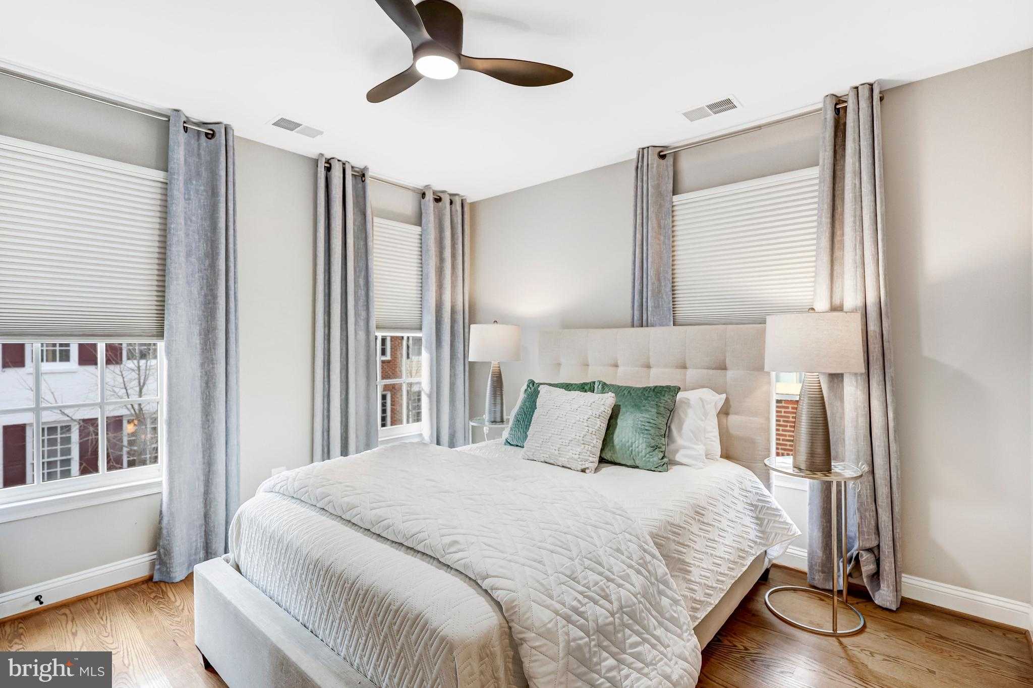 17 Alexander St photo 22