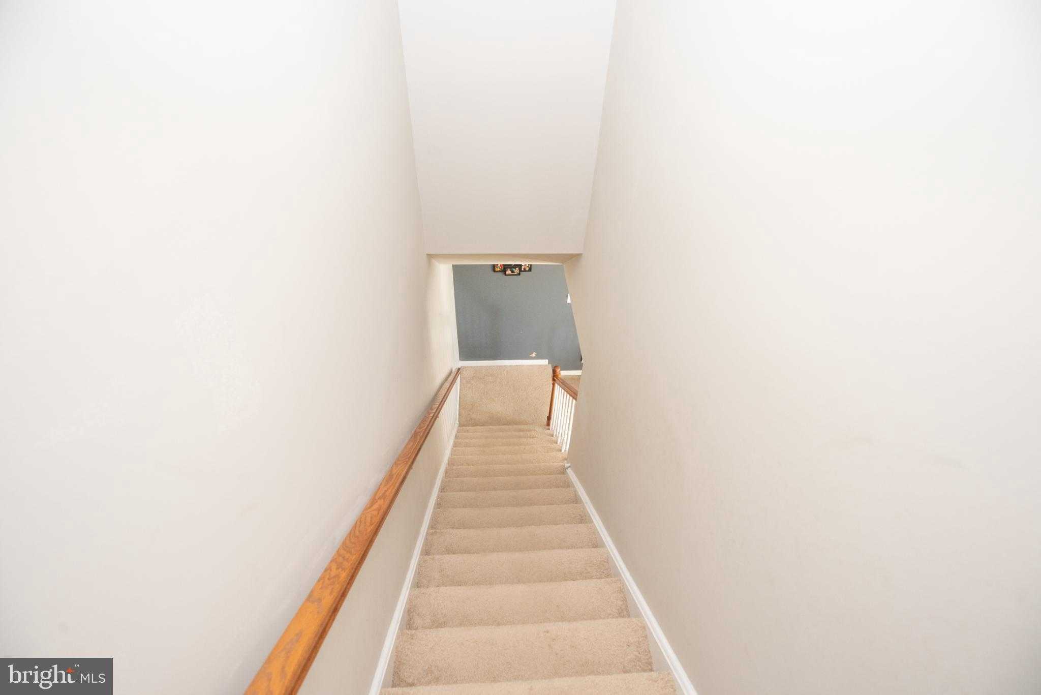 1144 Wendler Cir photo 9