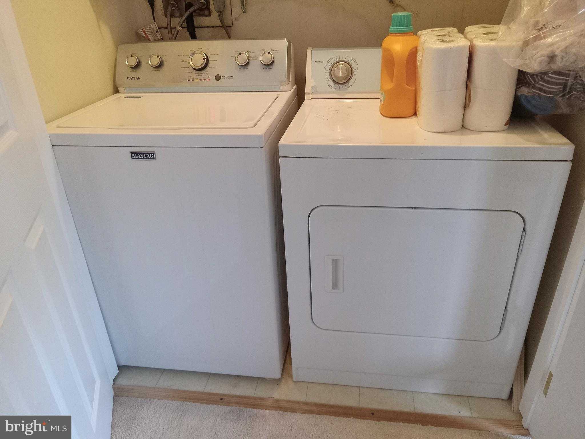 178 Wellington Ter # 13a photo 21