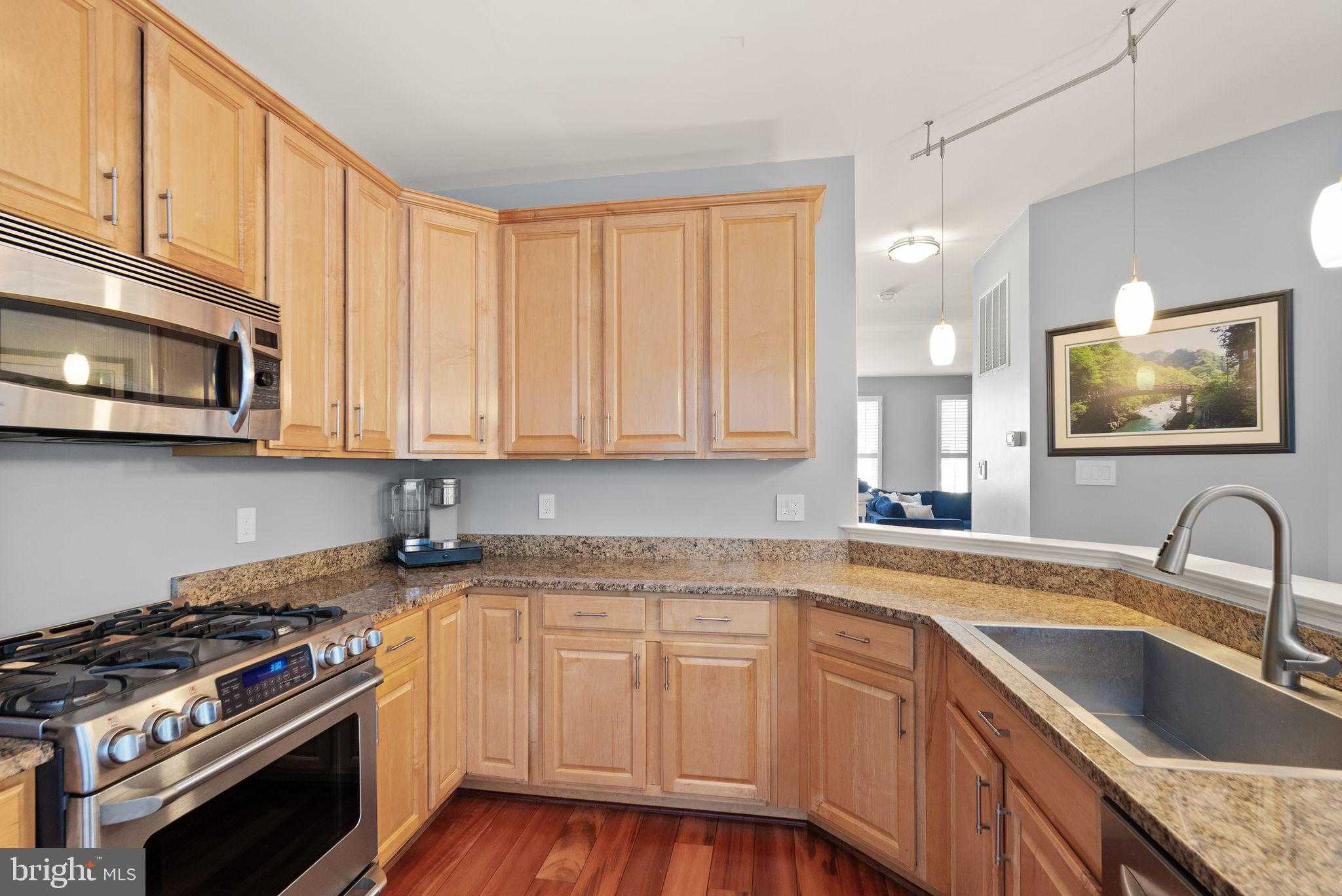 11477 Waterhaven CT photo 24