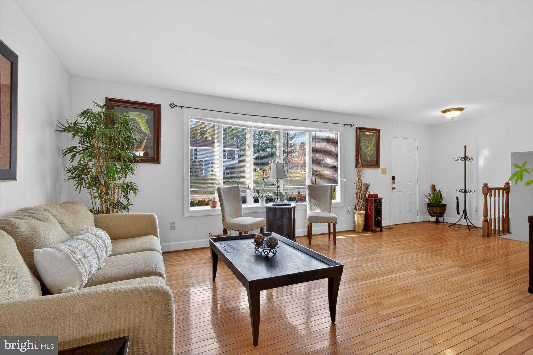 4709 Hale Haven Dr photo 3