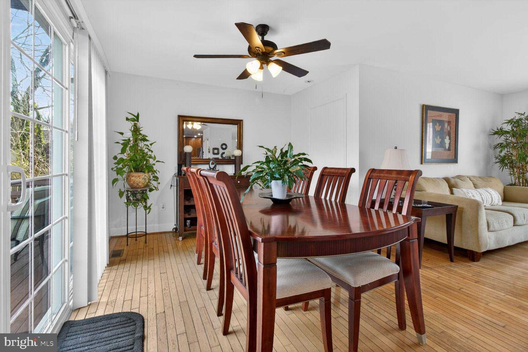 4709 Hale Haven Dr photo 5