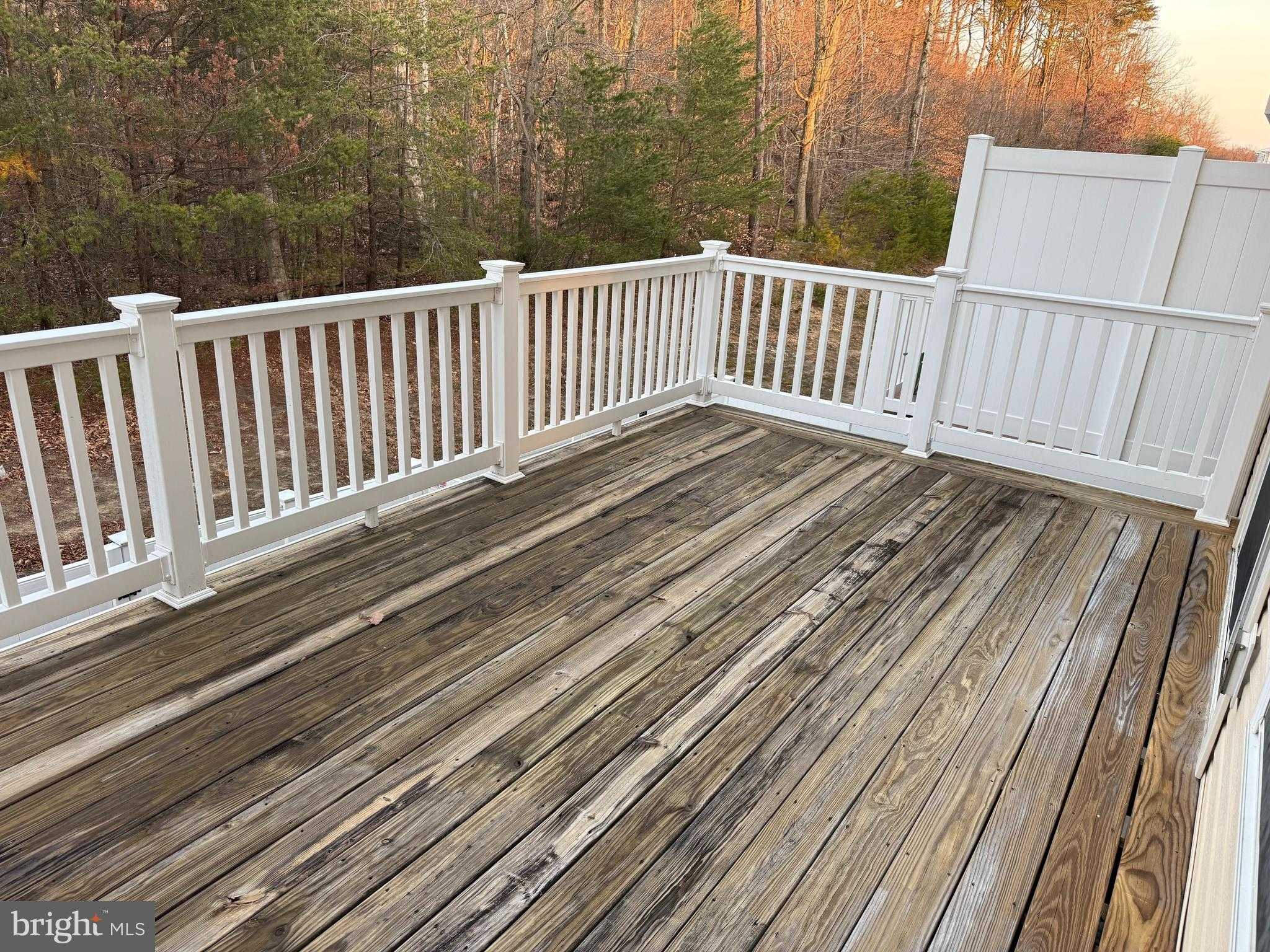 8457 Winding Trl photo 13