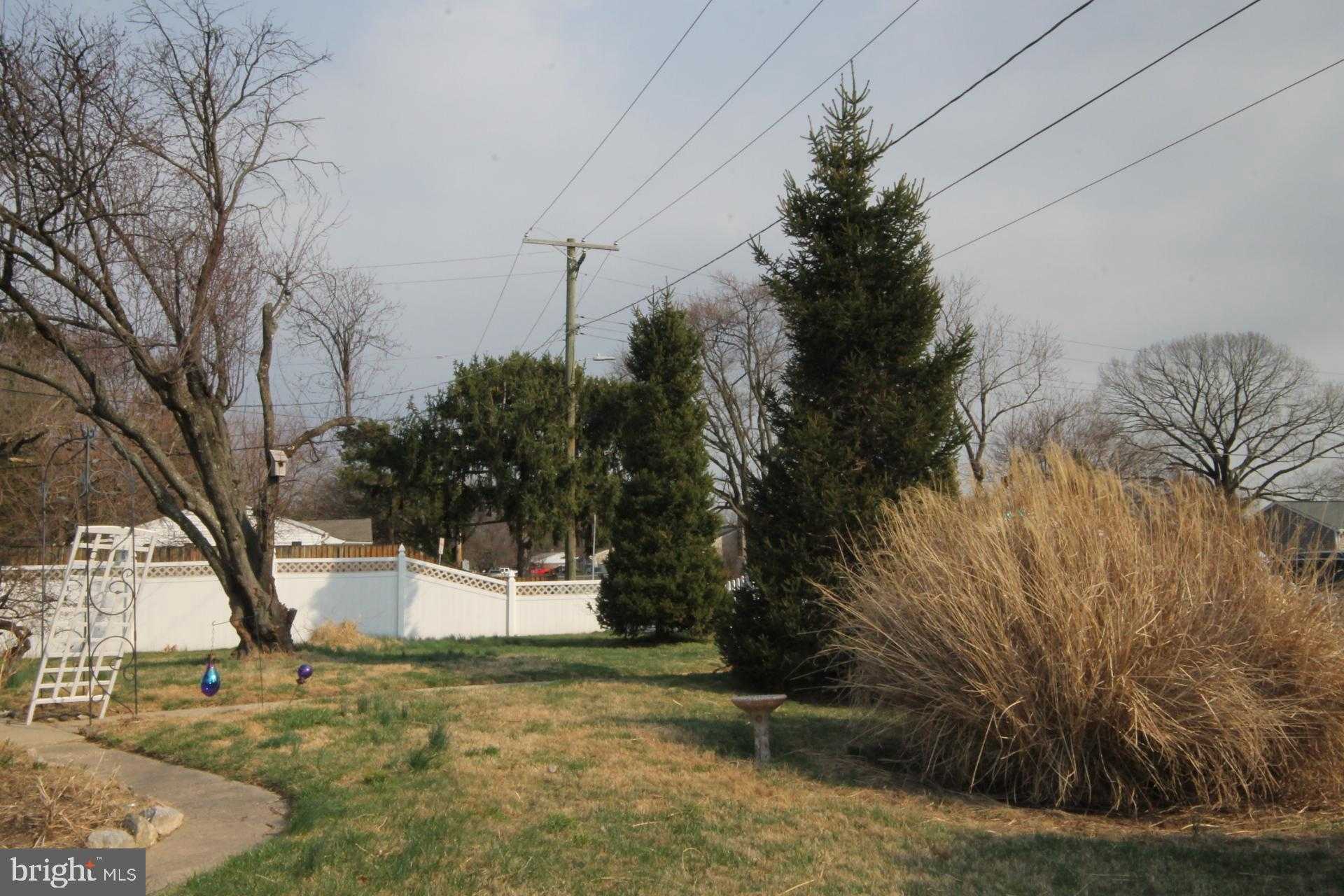 102 Fernglen Ave photo 26