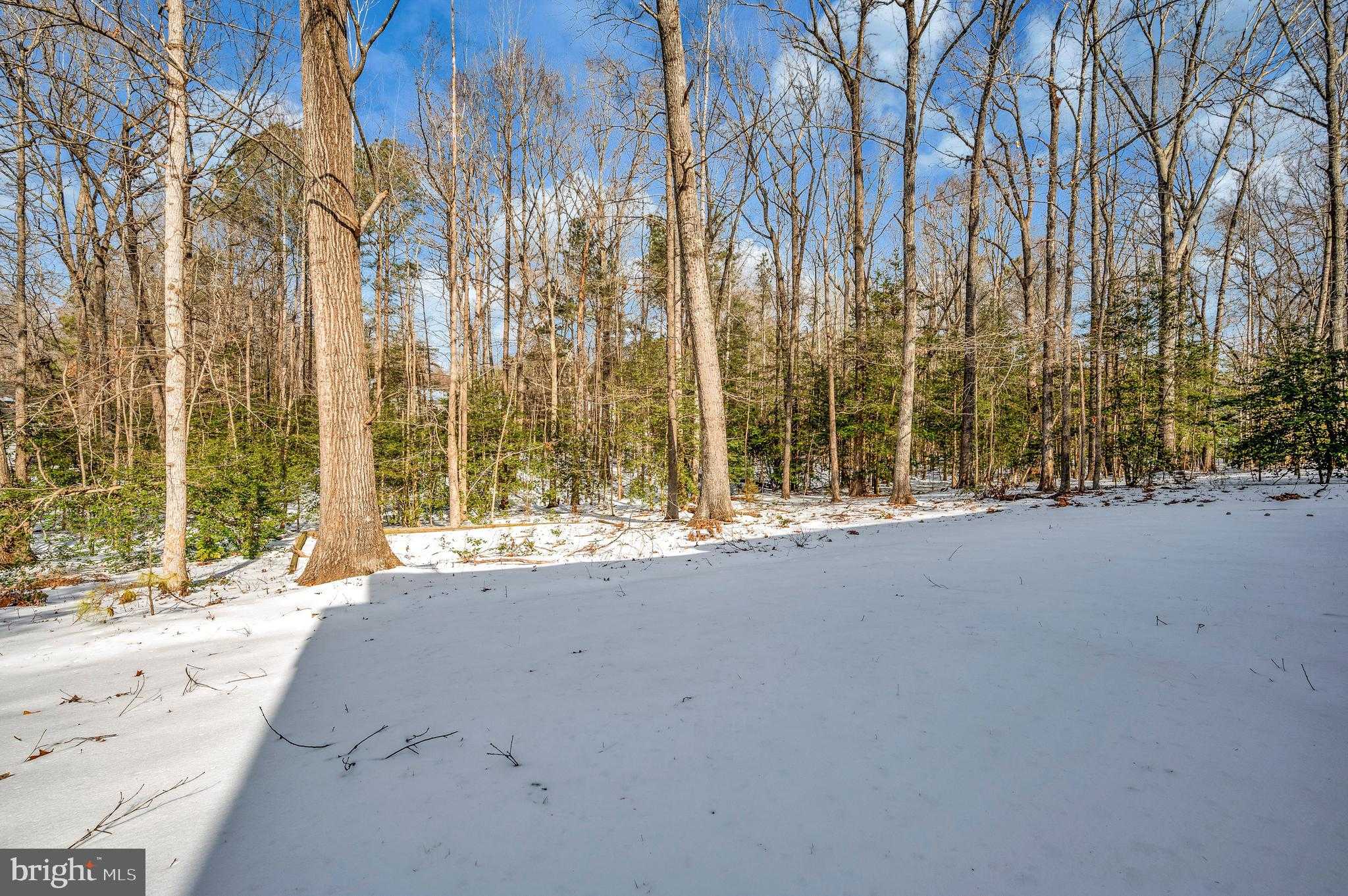 715 Sawdust Dr photo 23