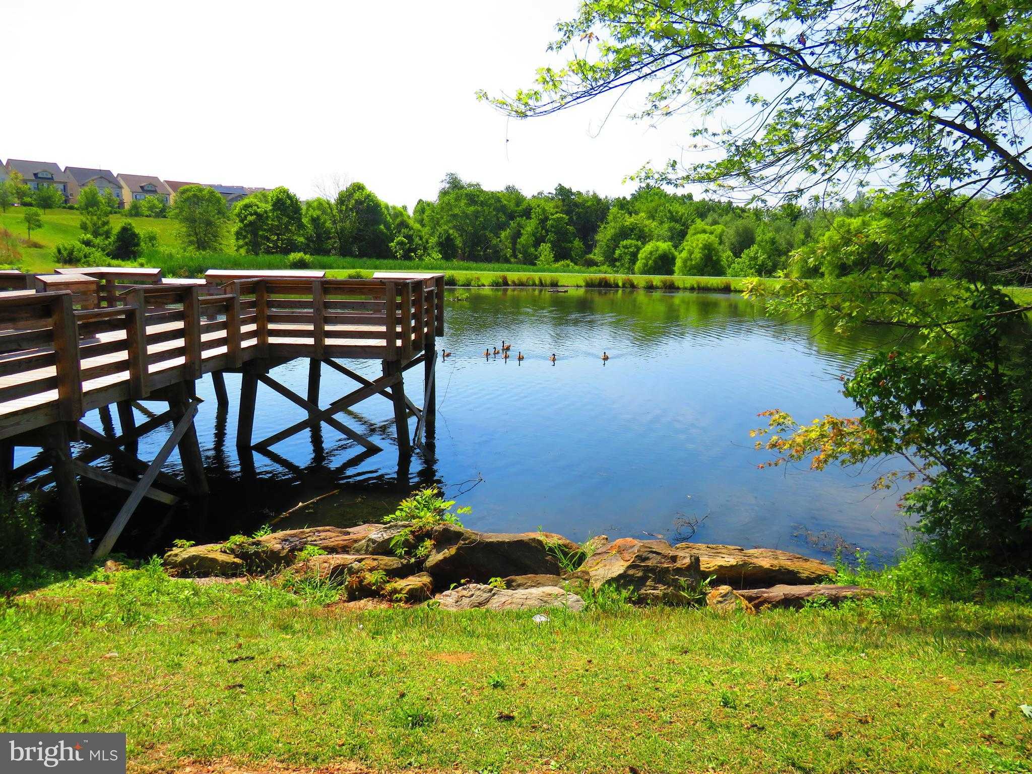 13039 Martz St photo 55