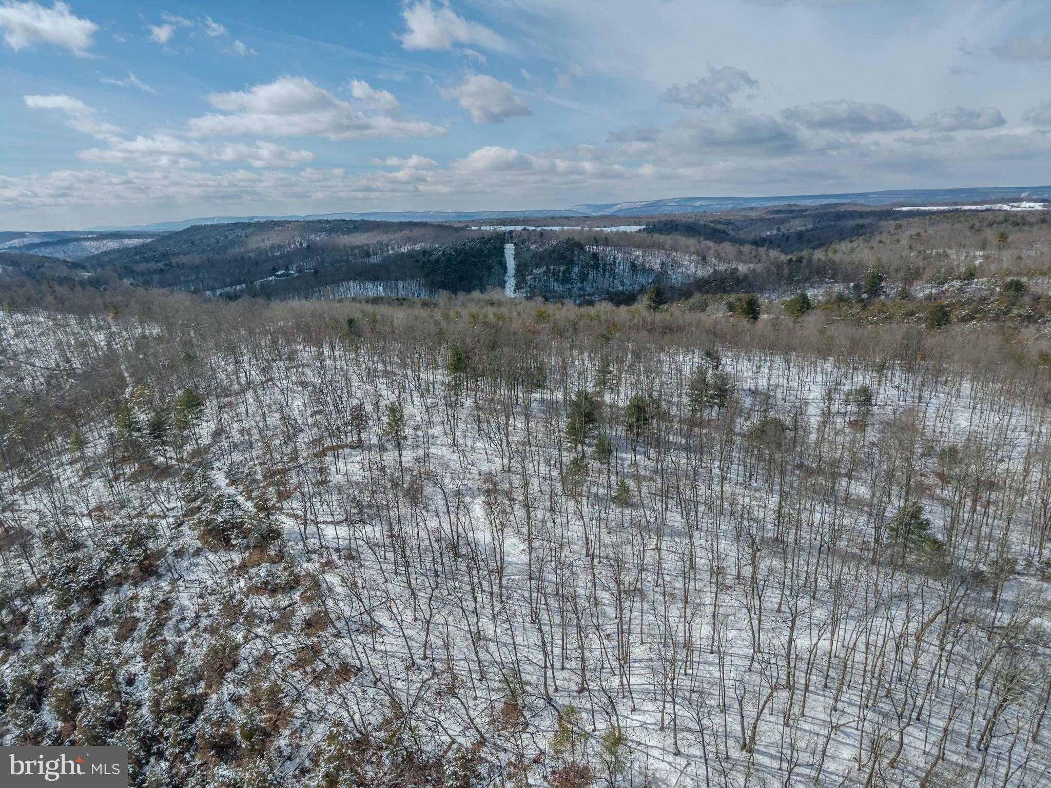 21697 View Dr photo 37