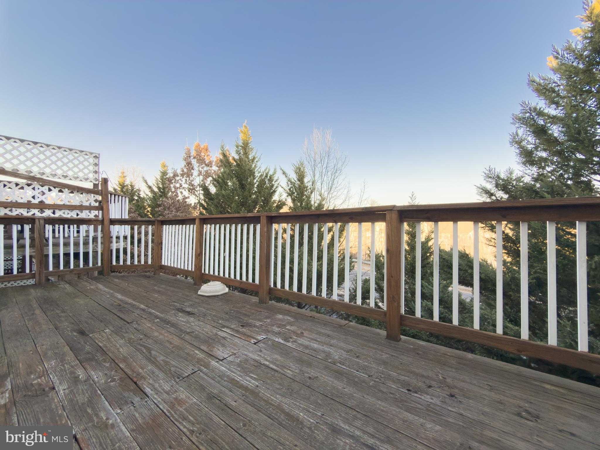 1832 Cedar Cove Way photo 19