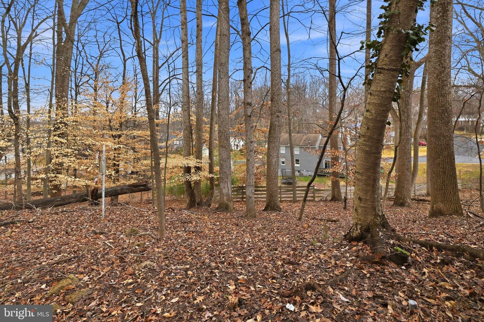 13012 Renfrew Cir photo 54