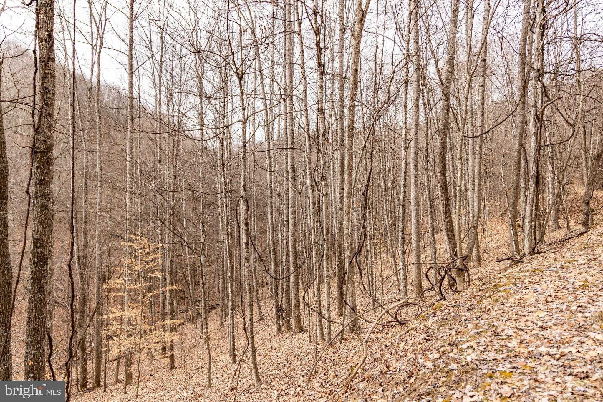 0 RADERS VALLEY ROAD photo 40