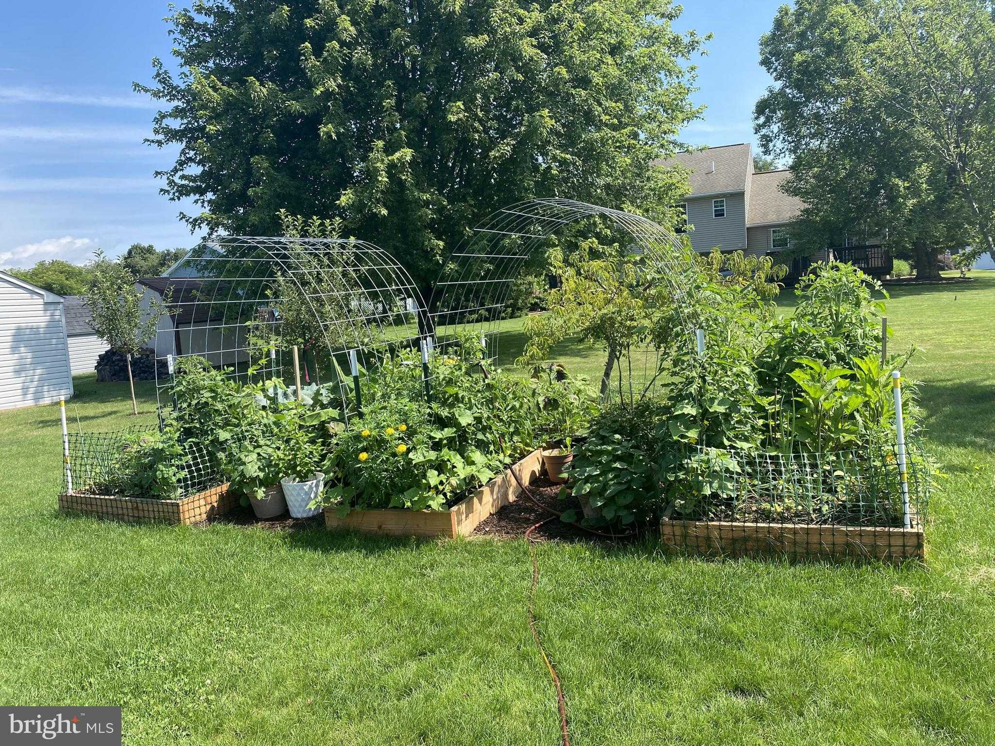 237 Walker Xing photo 19