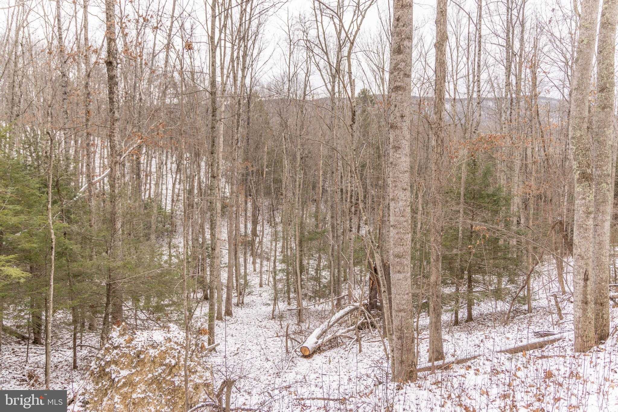 Dunkard Church Rd photo 19