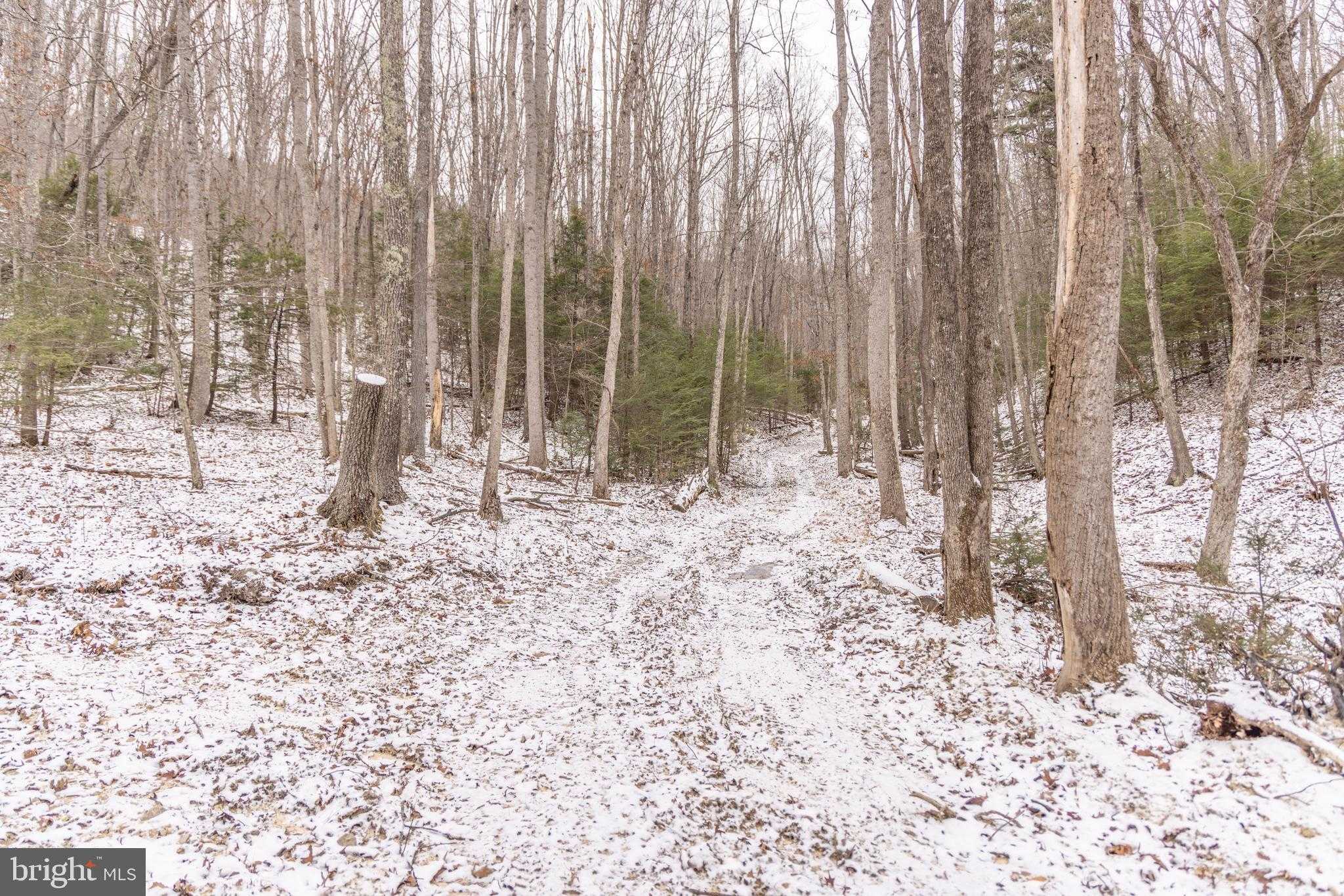 Dunkard Church Rd photo 8