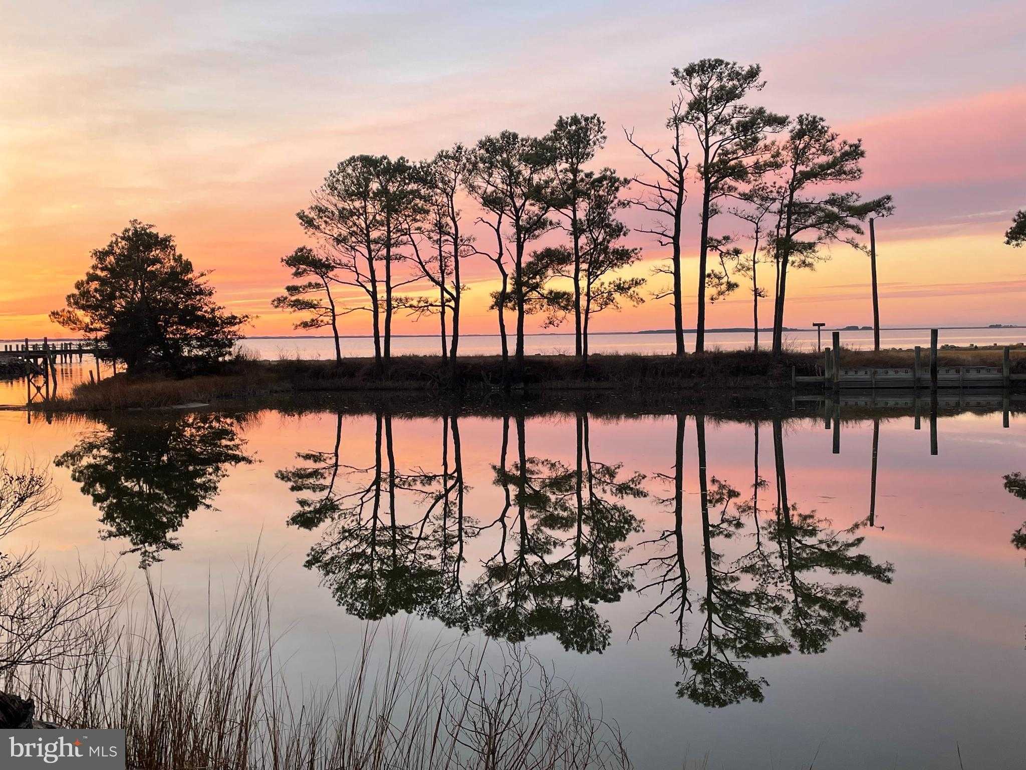 20160 Nanticoke Rd photo 6