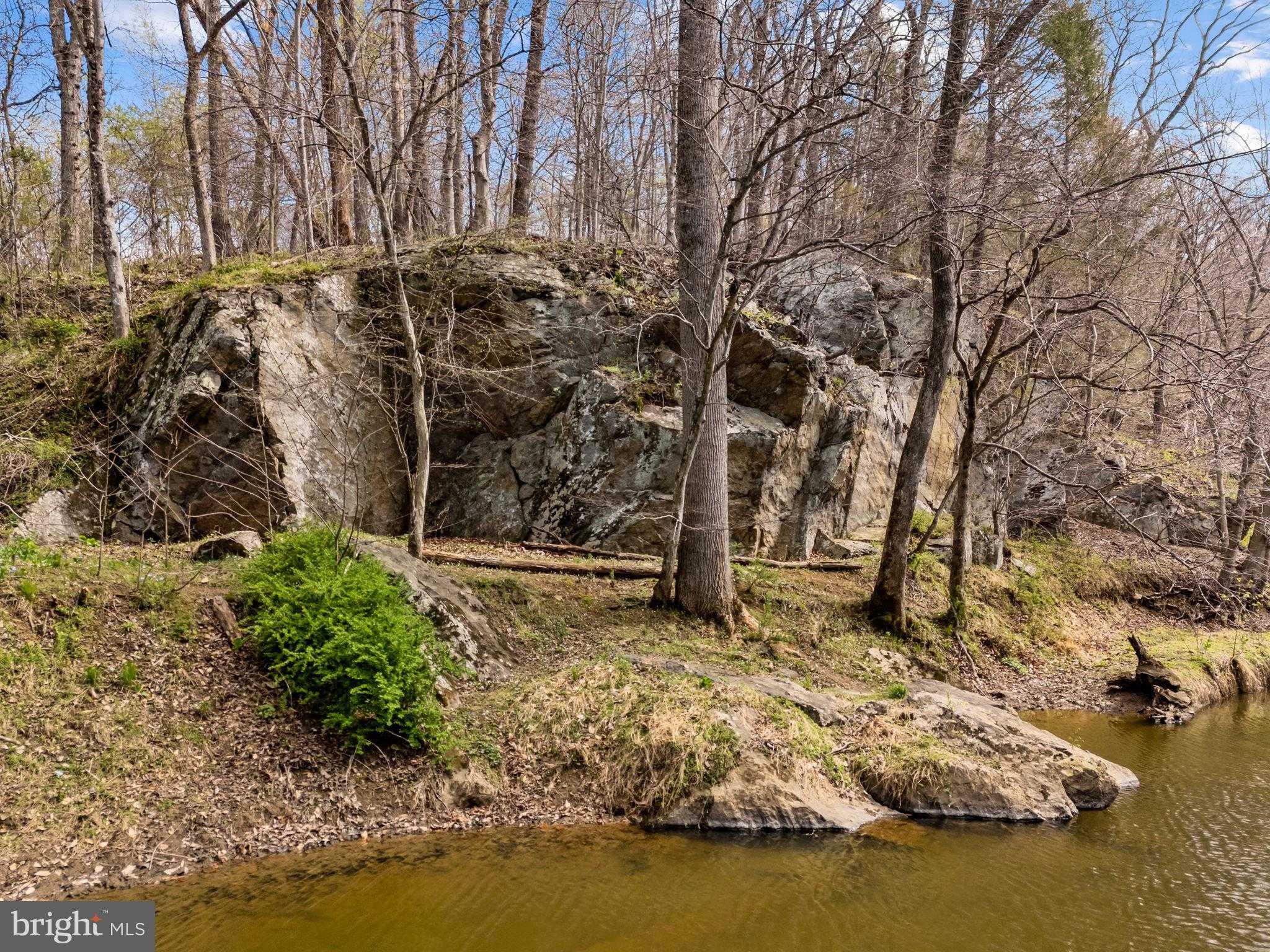 14039 Amys Meadow CT photo 116