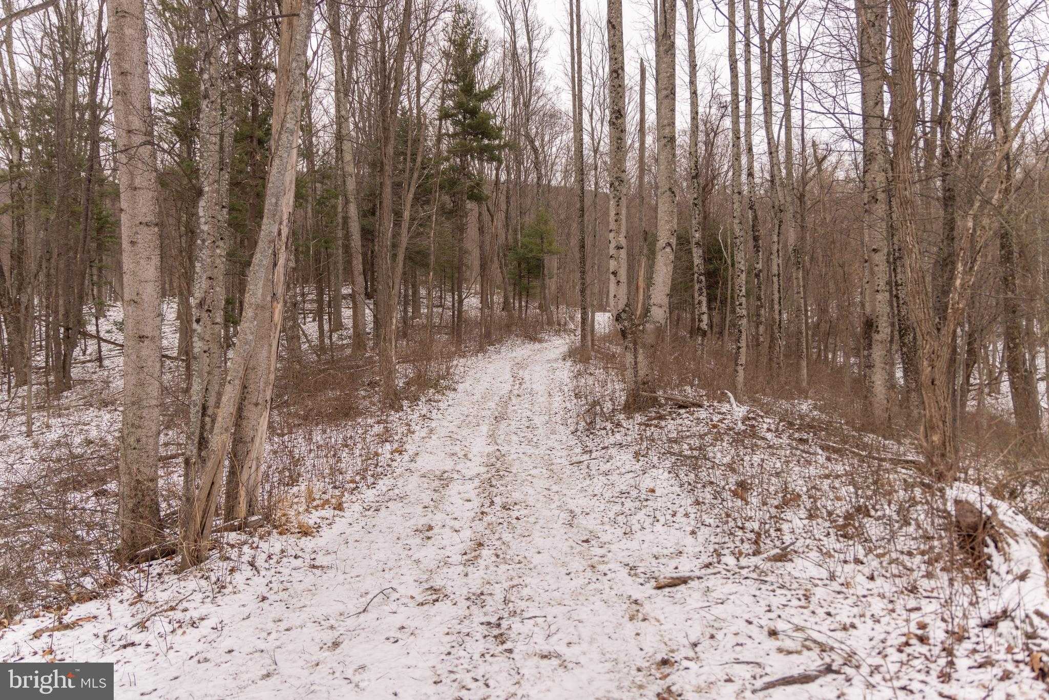 5344 Back Valley Rd photo 30