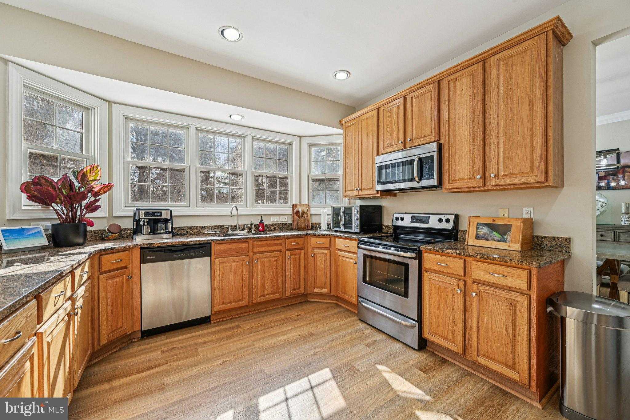 13207 Anthem Greenfields Dr photo 7