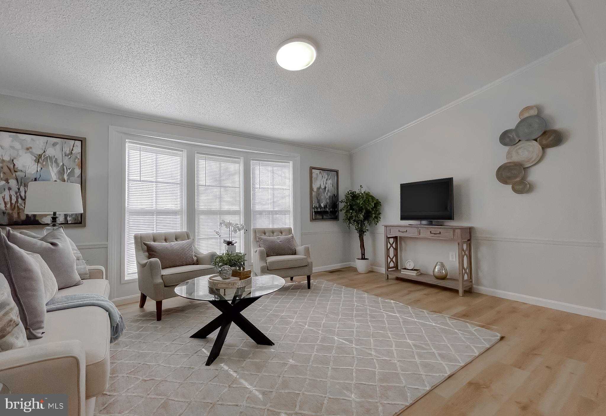 45908 S Springsteen CT photo 3