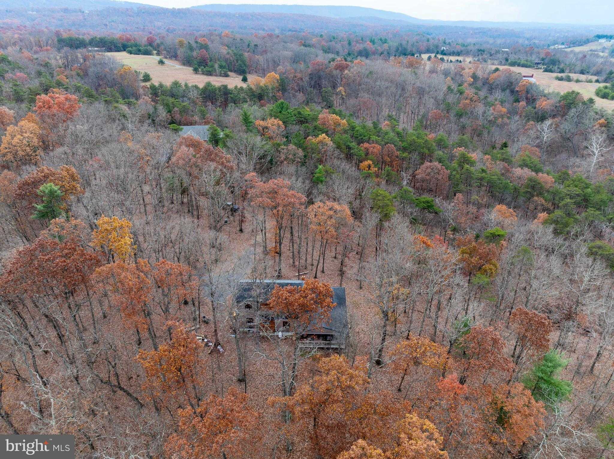 446 Broomgrass Way photo 32