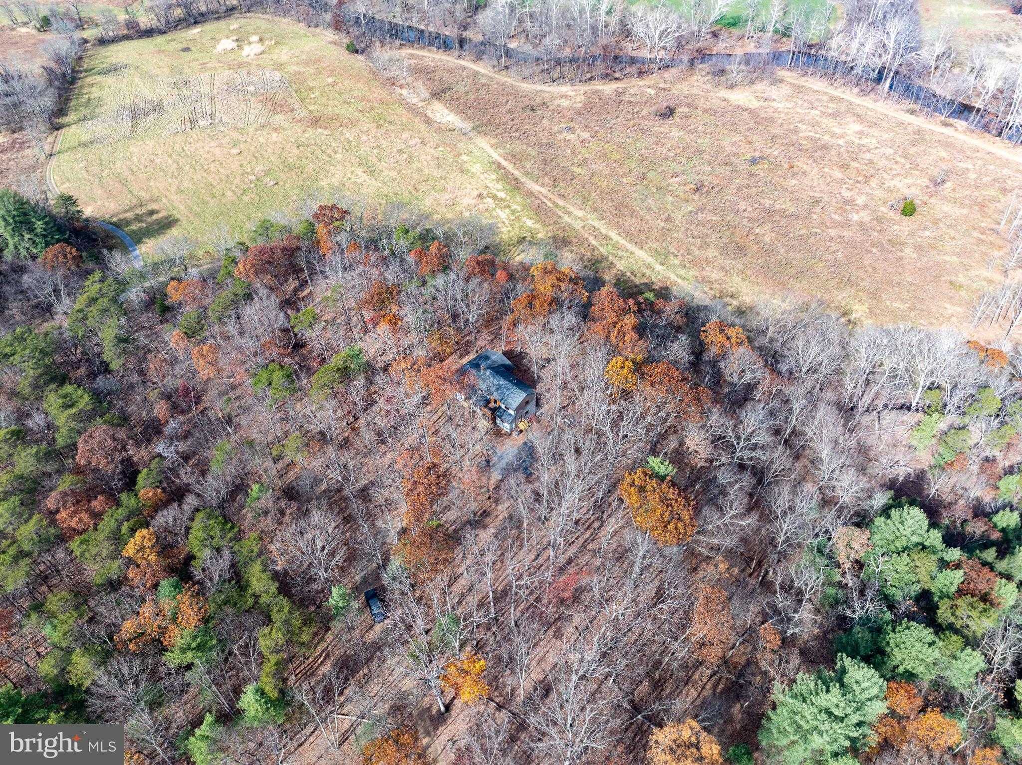 446 Broomgrass Way photo 50