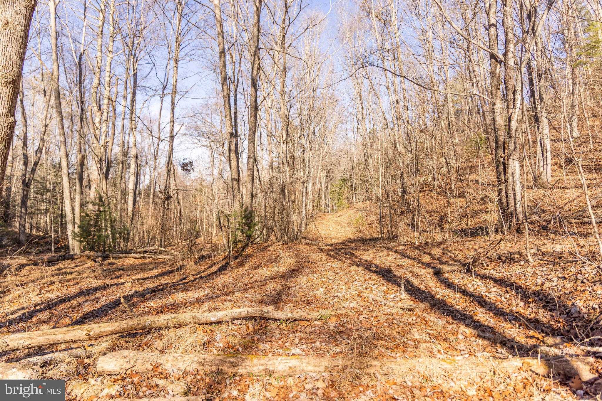 63 Caldwell Dr photo 5