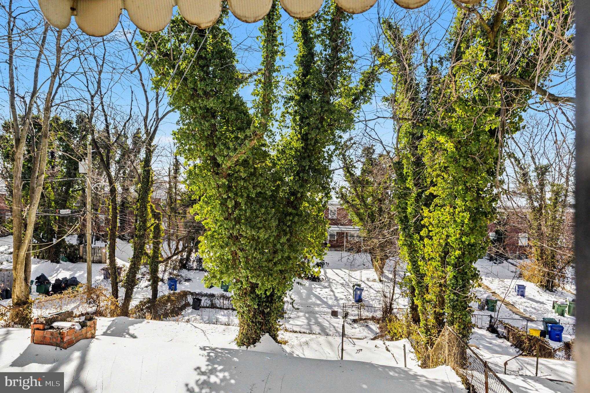 1123 Elbank Ave photo 35