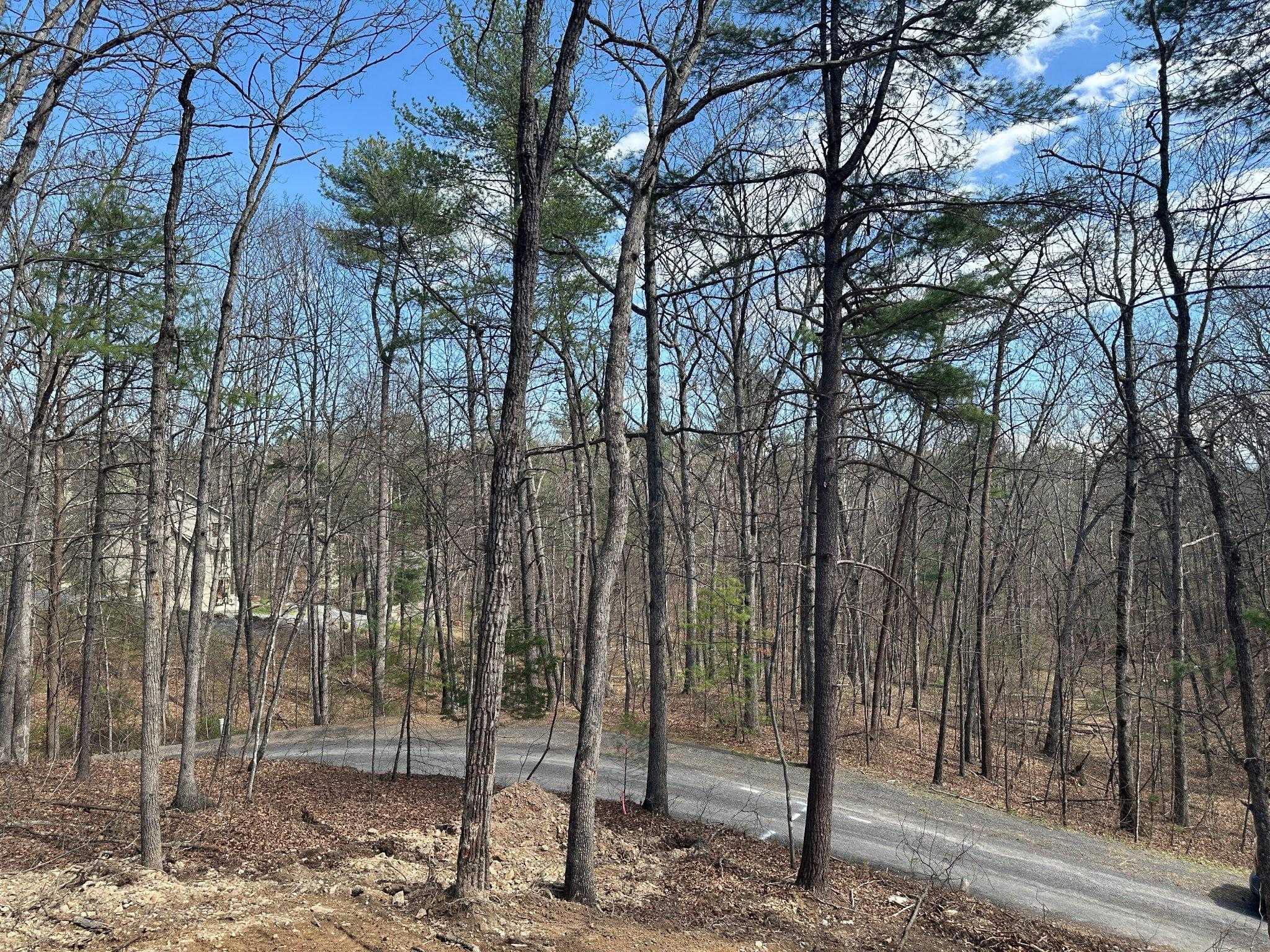 5 Pin Oak Rd photo 16