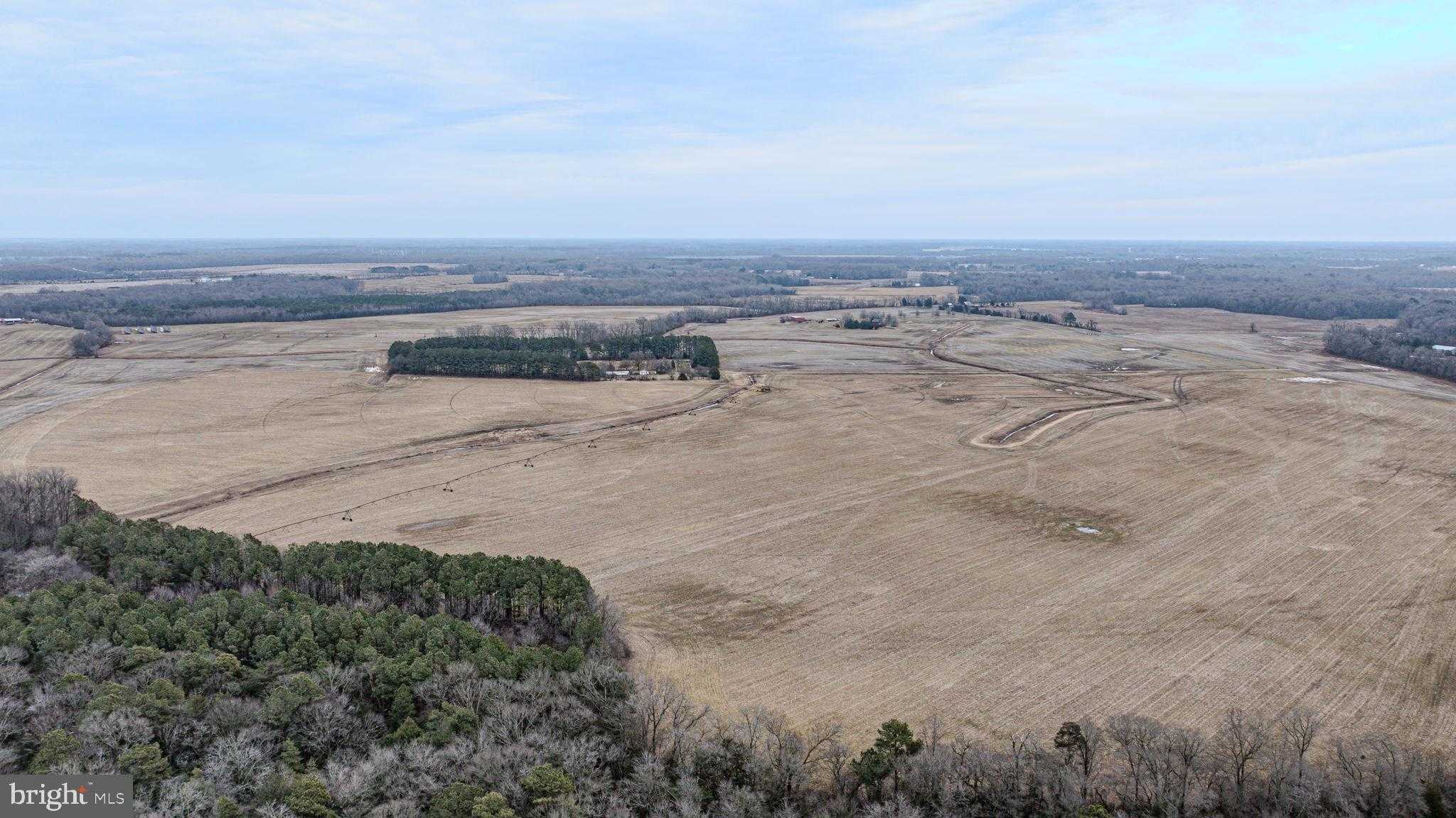 25056 E Cherry Ln photo 58