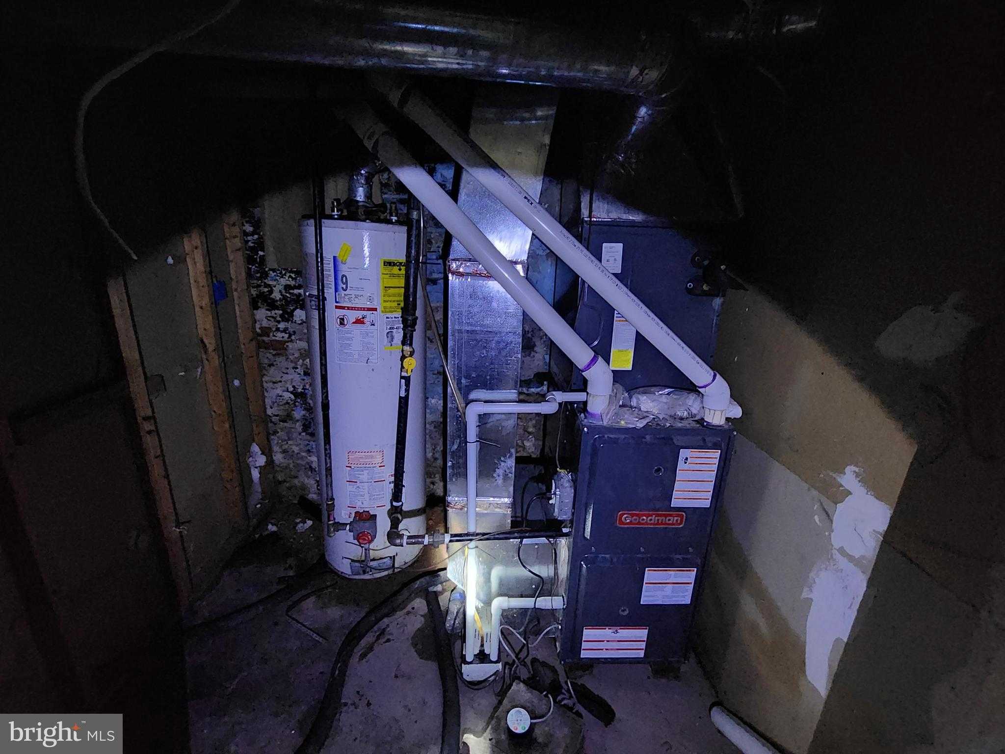 2624 E Preston St photo 20