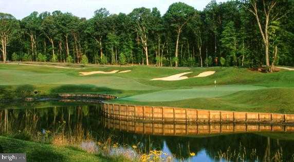 12090 Greatbridge Rd photo 66