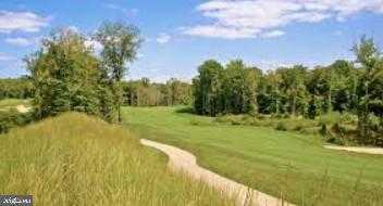 12090 Greatbridge Rd photo 67